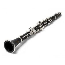 Your Ultimate Guide to Clarinet Rentals - AAA Band Instrument Rentals