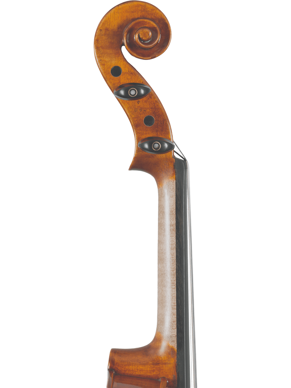 Advanced Violin – Canzona A. Tennyson - AAA Band Instrument Rentals