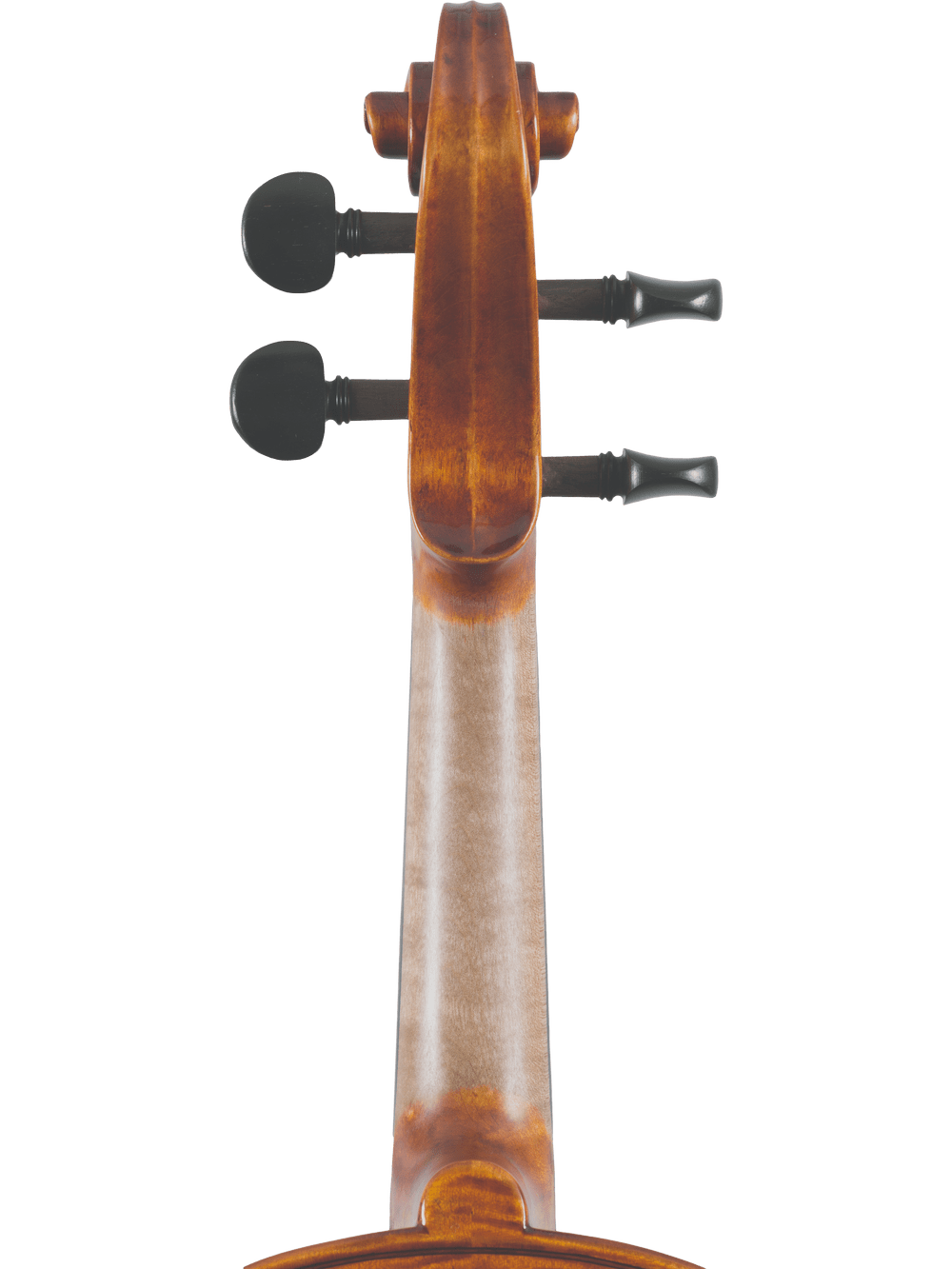Artist Series Violin – Canzona Francesco Veracini 530 (Spruce & Flamed Maple) - AAA Band Instrument Rentals