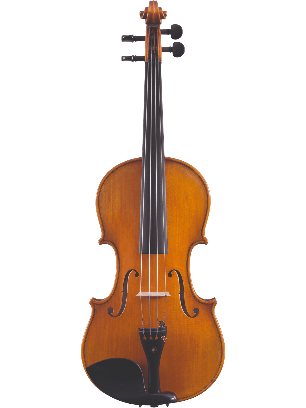Artist Series Violin – Canzona Francesco Veracini 530 (Spruce & Flamed Maple) - AAA Band Instrument Rentals