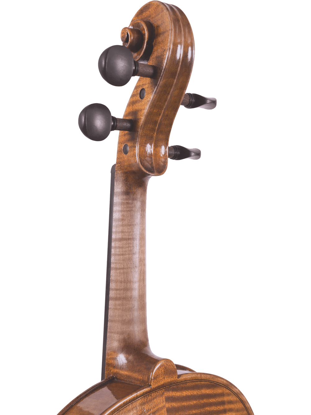 Canzona Lorenzo Intermediate Violin Outfit - AAA Band Instrument Rentals