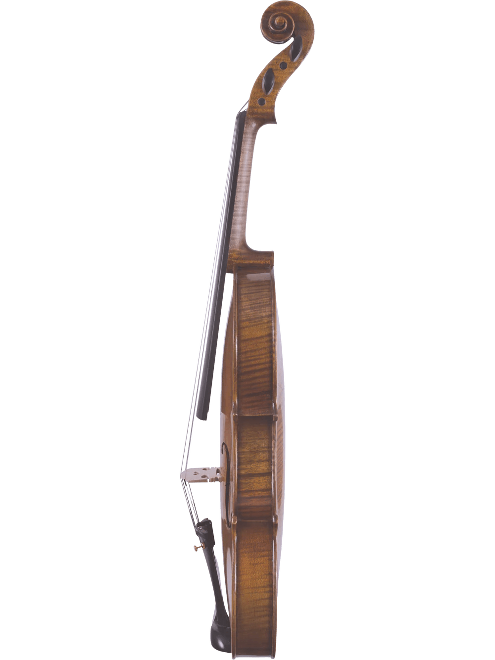 Canzona Lorenzo Intermediate Violin Outfit - AAA Band Instrument Rentals