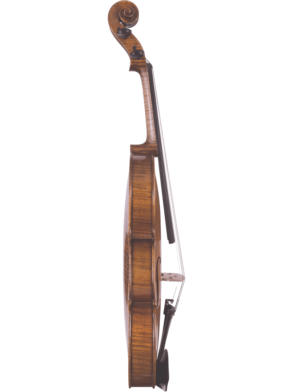 Canzona Lorenzo Intermediate Violin Outfit - AAA Band Instrument Rentals