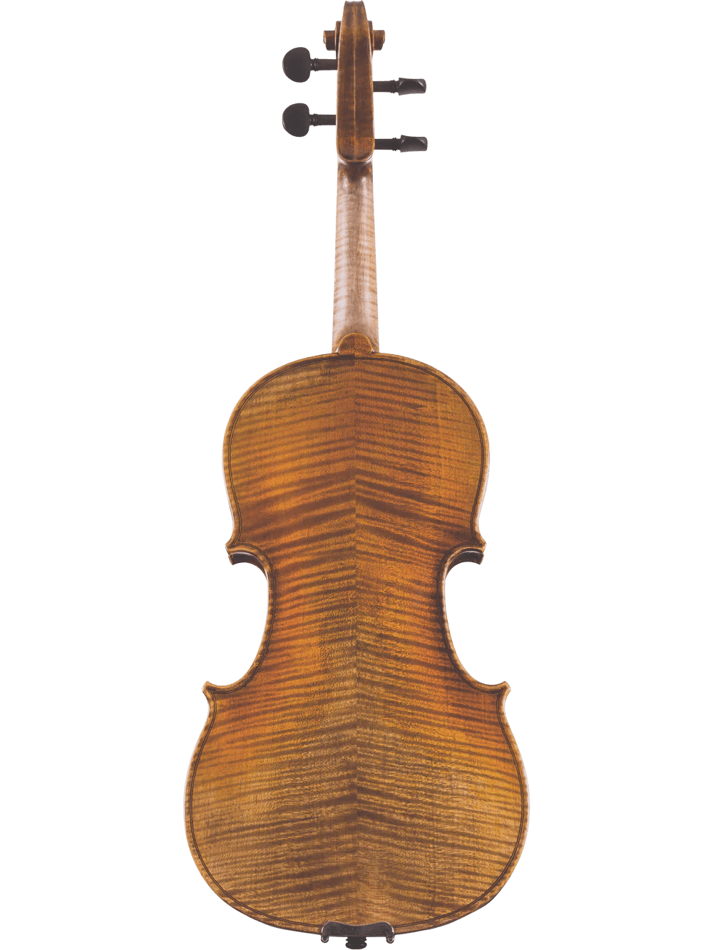 Canzona Lorenzo Intermediate Violin Outfit - AAA Band Instrument Rentals