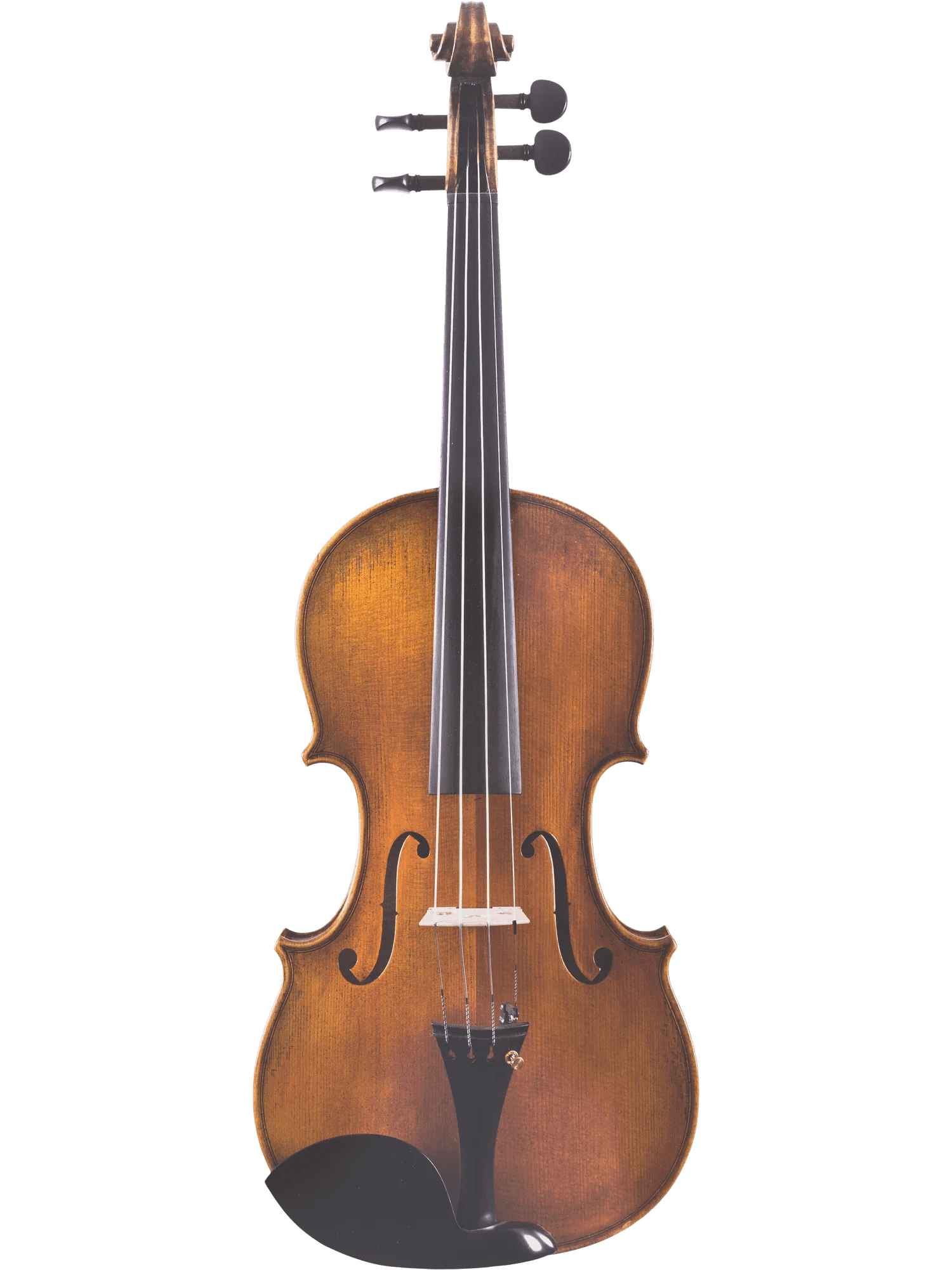 Canzona Lorenzo Intermediate Violin Outfit - AAA Band Instrument Rentals