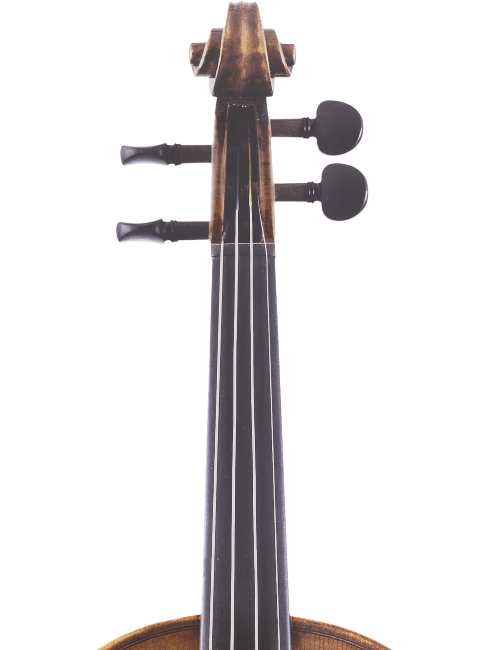 Canzona Lorenzo Intermediate Violin Outfit - AAA Band Instrument Rentals