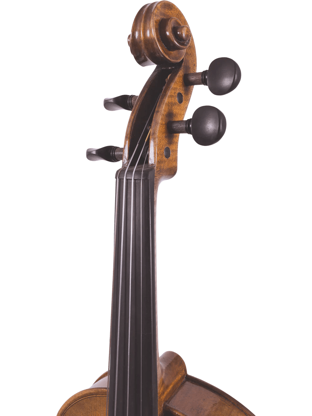 Canzona Lorenzo Intermediate Violin Outfit - AAA Band Instrument Rentals