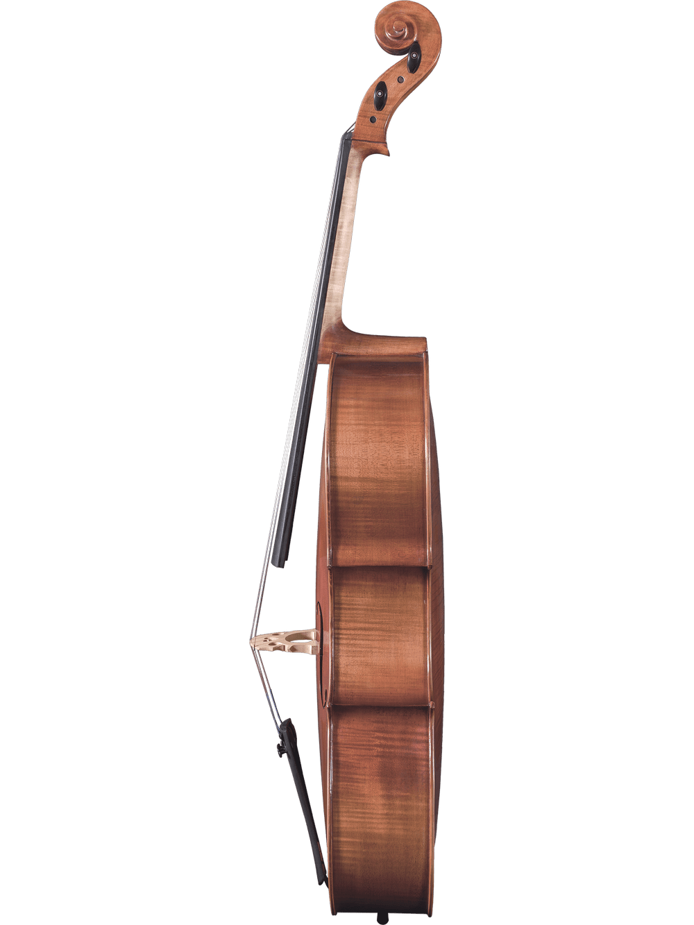 Canzona Milano 400 Cello Outfit - AAA Band Instrument Rentals