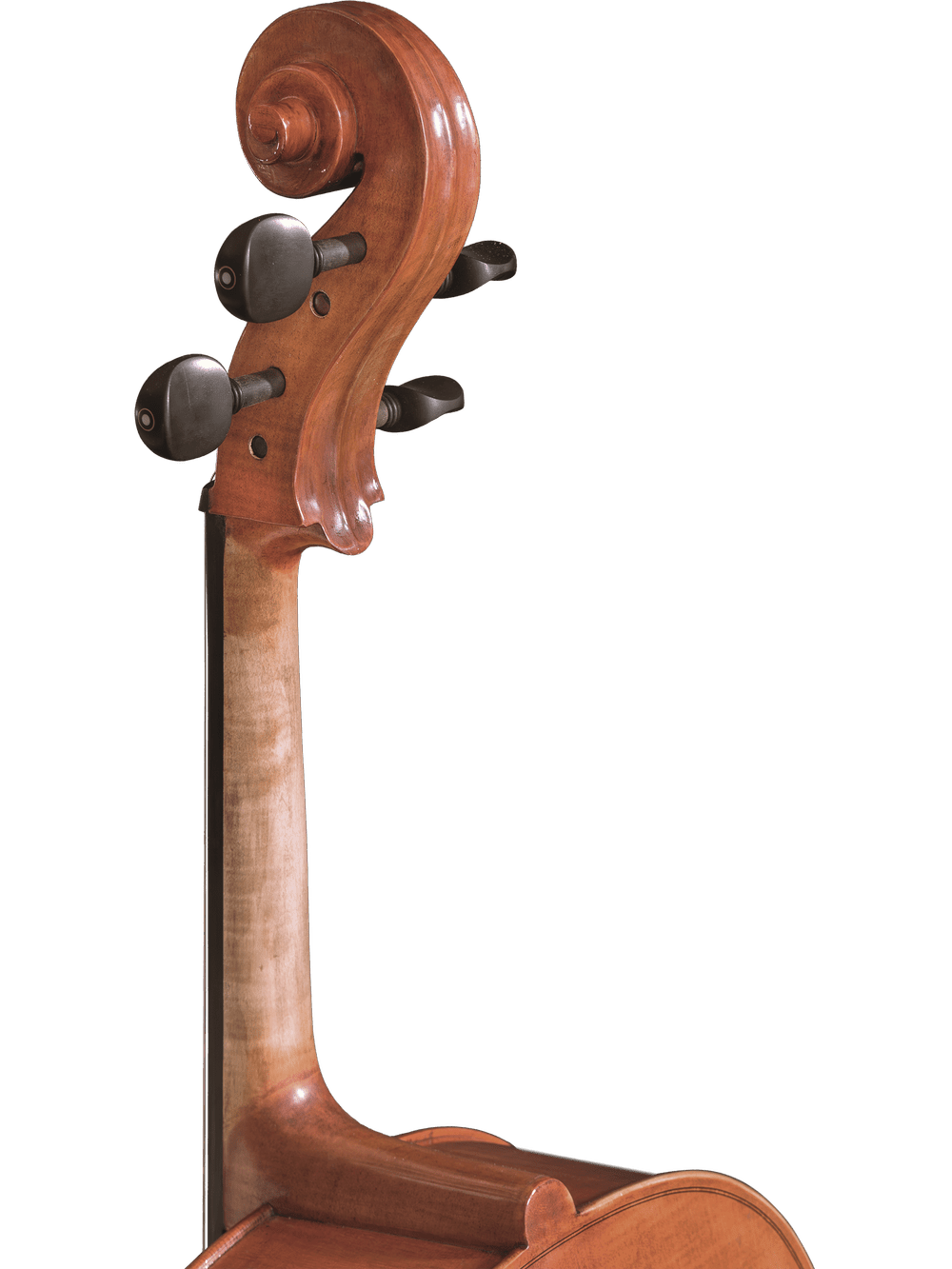 Canzona Milano 400 Cello Outfit - AAA Band Instrument Rentals