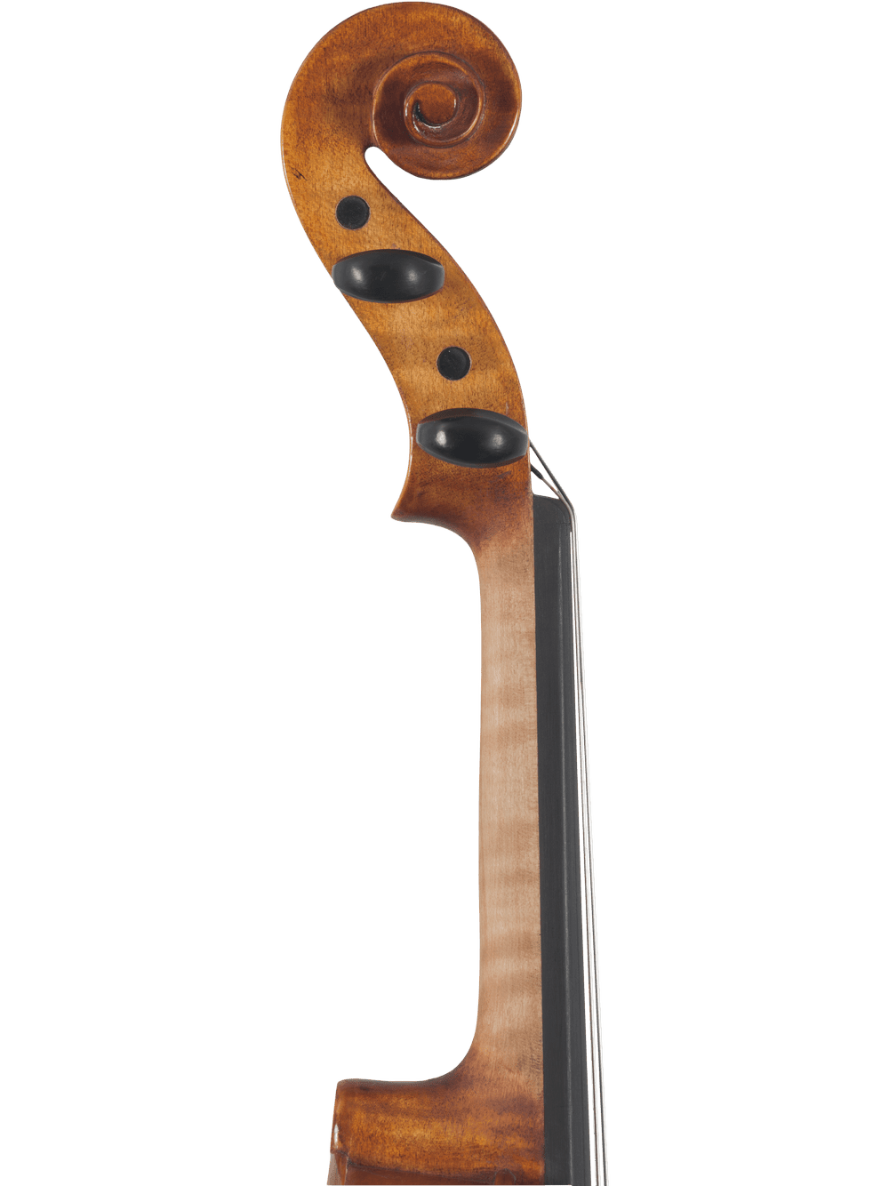 Canzona Milano 400 Series Advanced Student Viola Outfit – Hand Carved Spruce & Maple - AAA Band Instrument Rentals