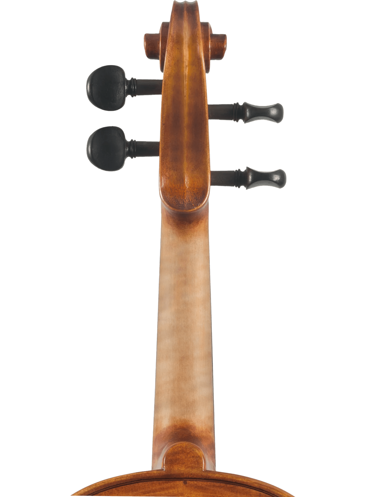 Canzona Milano Advanced Violin Outfit - AAA Band Instrument Rentals