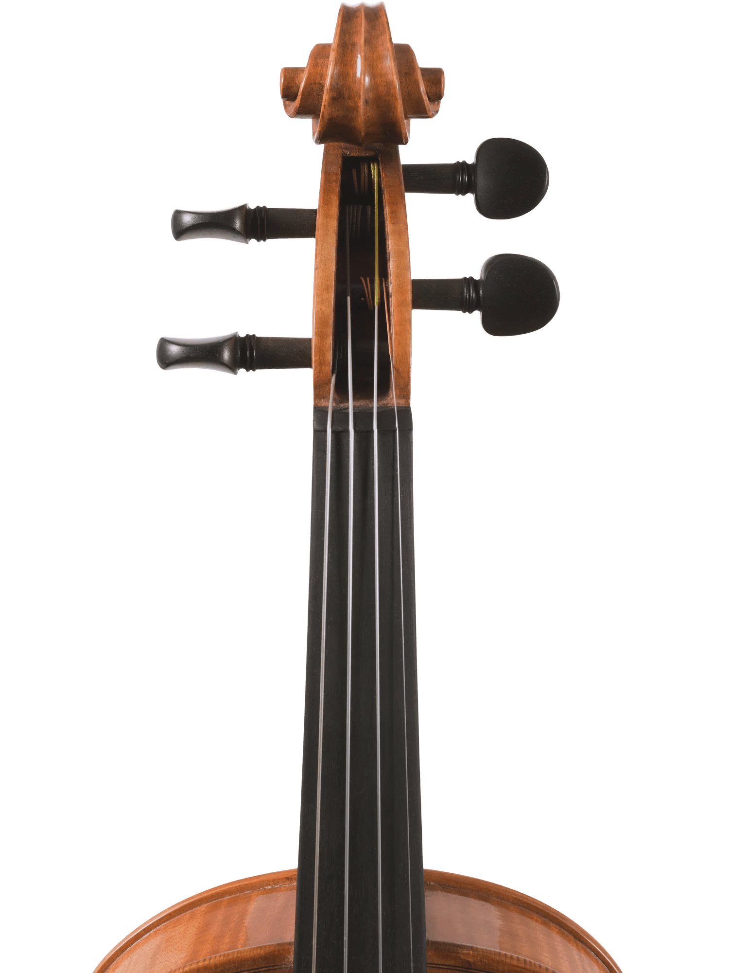 Canzona Milano Advanced Violin Outfit - AAA Band Instrument Rentals