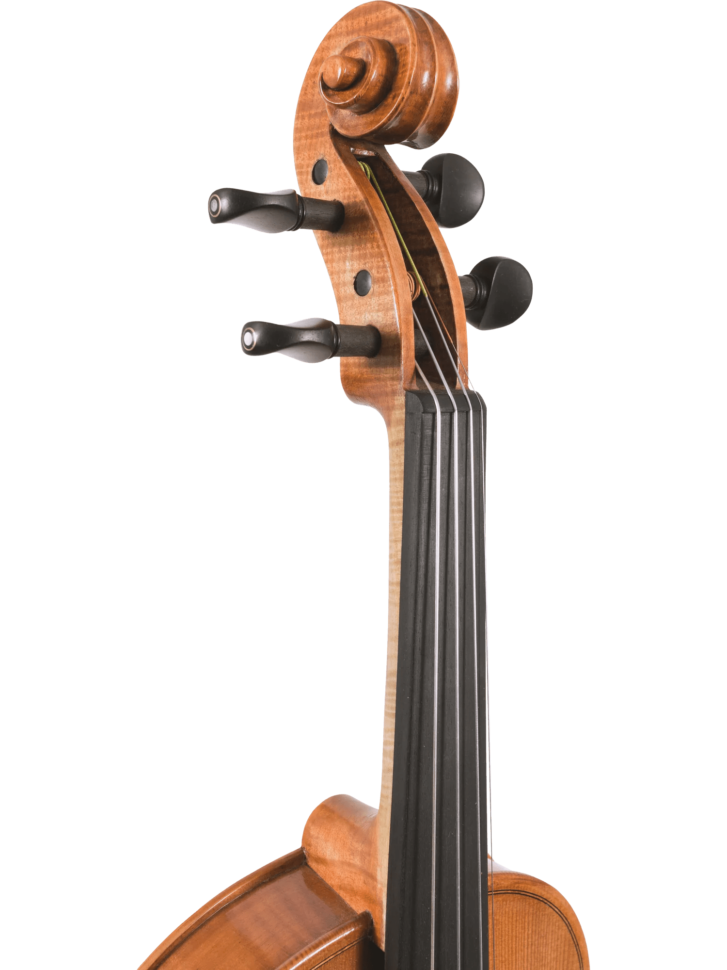 Canzona Milano Advanced Violin Outfit - AAA Band Instrument Rentals