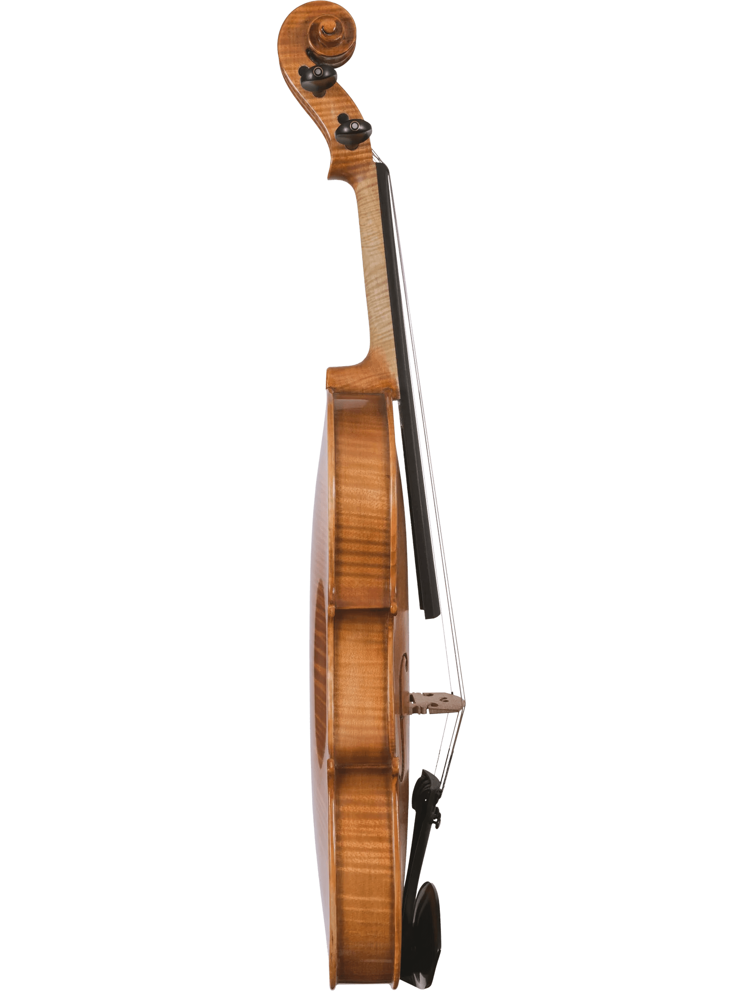 Canzona Milano Advanced Violin Outfit - AAA Band Instrument Rentals