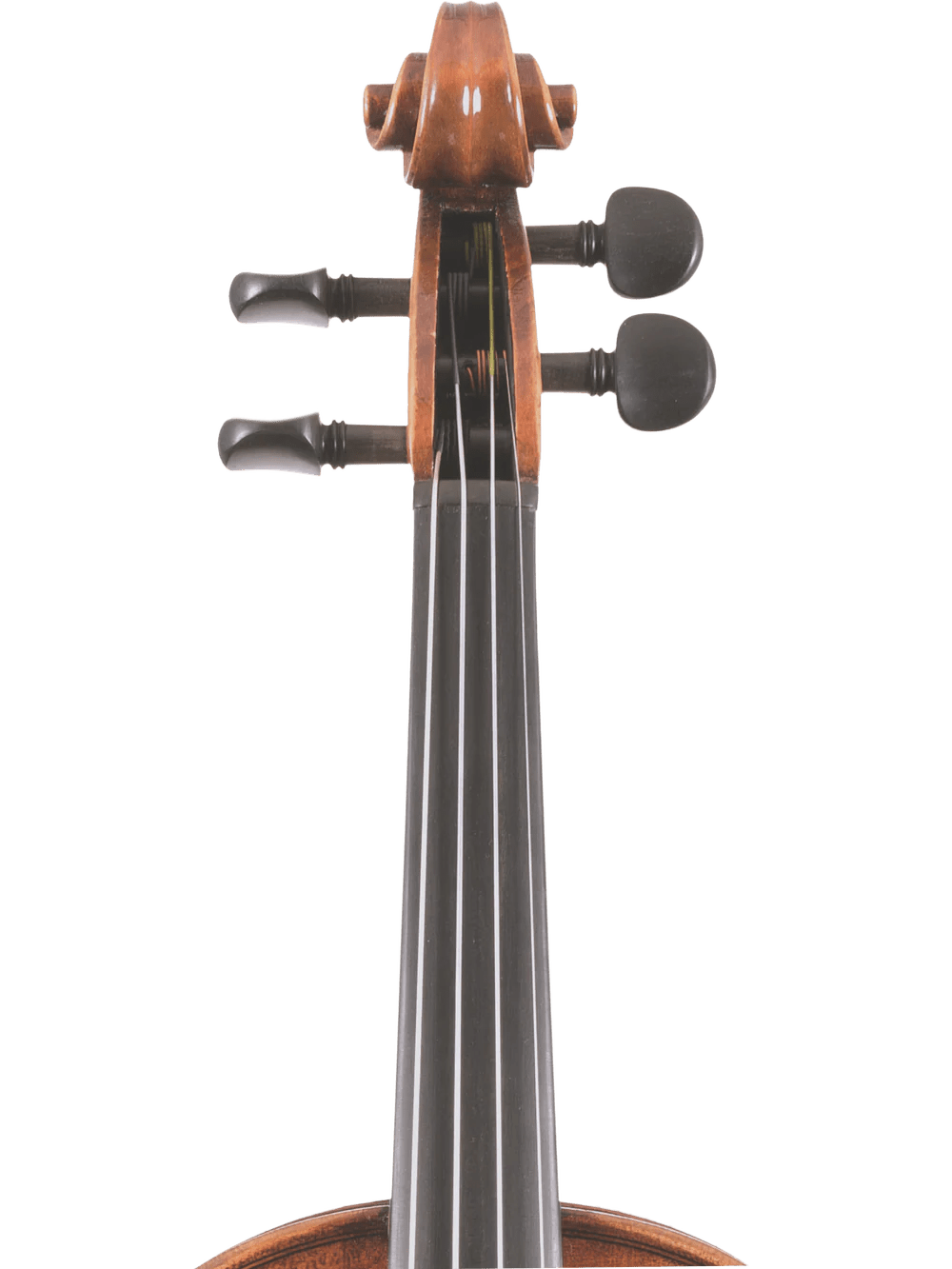 Canzona Pietro Locatelli Premium Advanced Violin Outfit - AAA Band Instrument Rentals