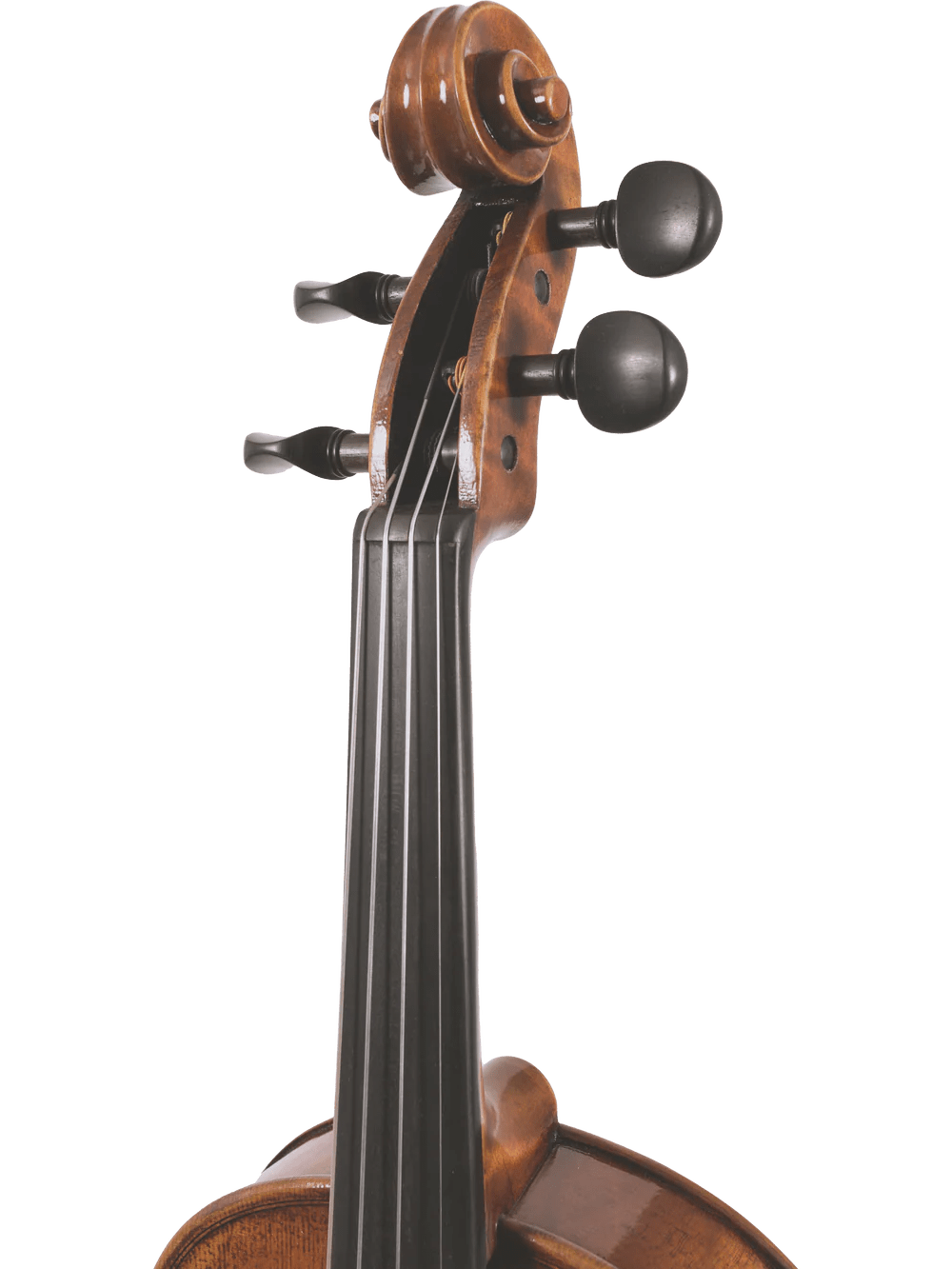 Canzona Pietro Locatelli Premium Advanced Violin Outfit - AAA Band Instrument Rentals