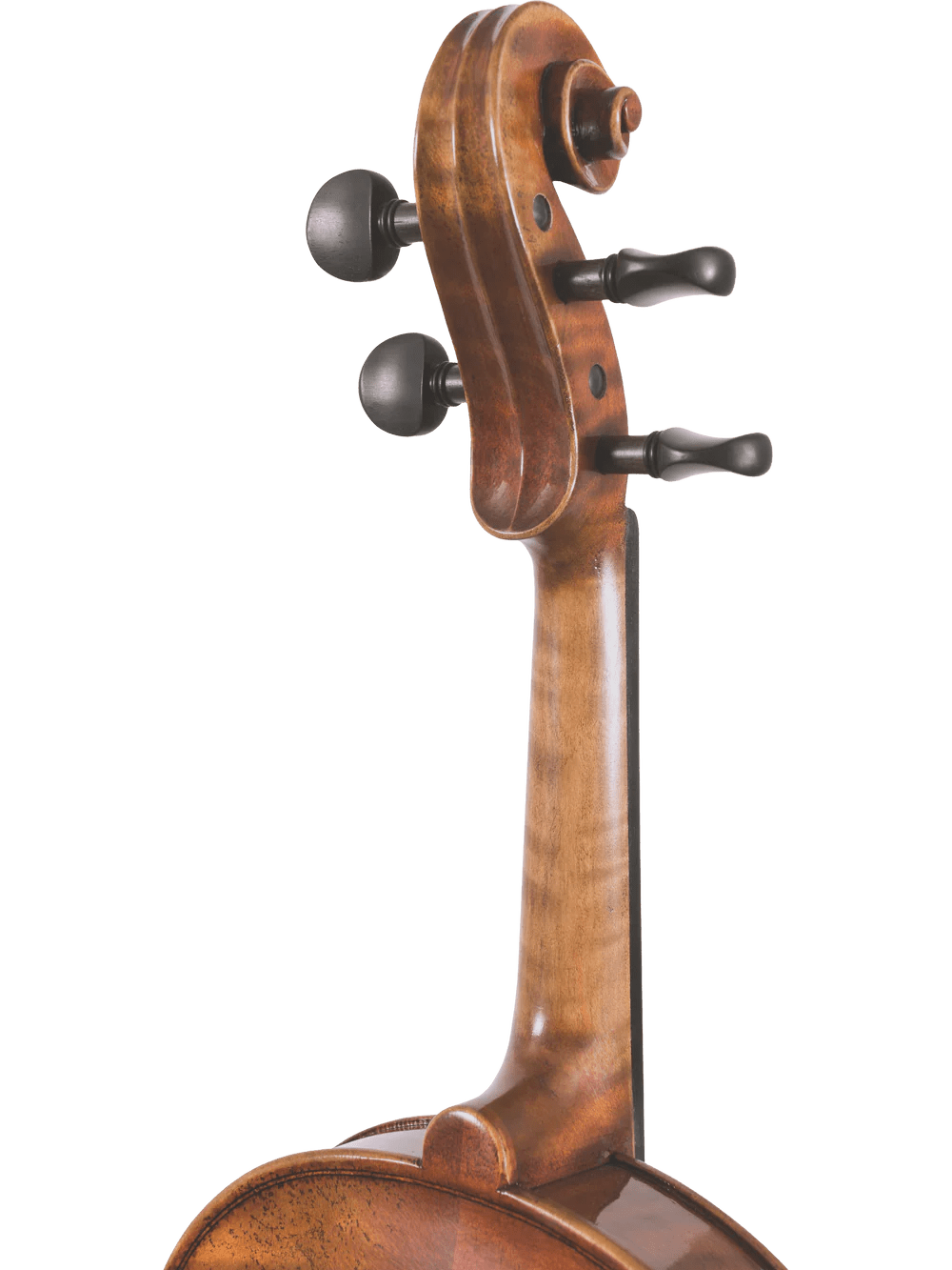Canzona Pietro Locatelli Premium Advanced Violin Outfit - AAA Band Instrument Rentals