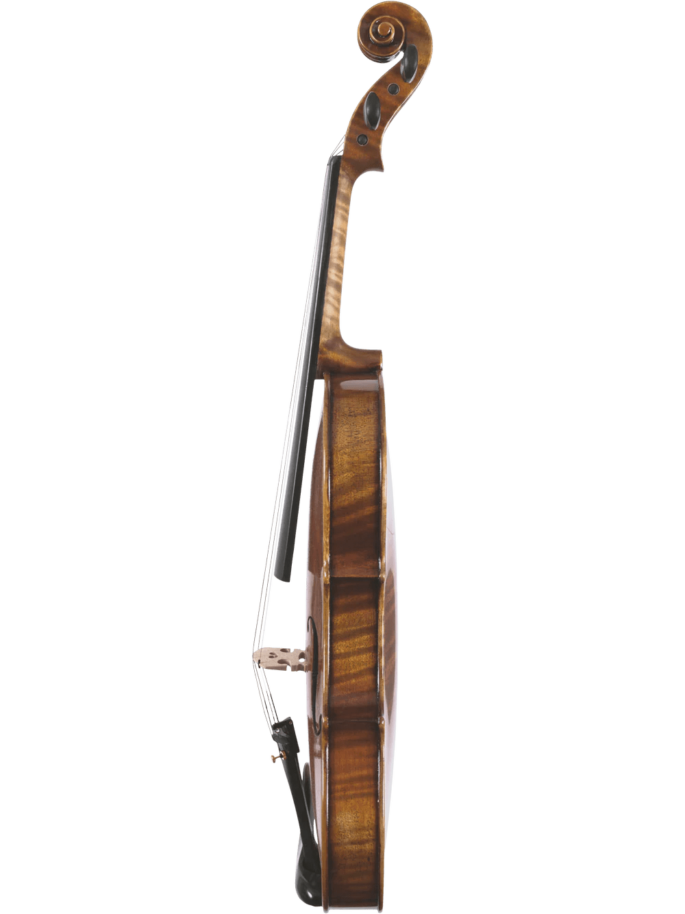 Canzona Pietro Locatelli Premium Advanced Violin Outfit - AAA Band Instrument Rentals