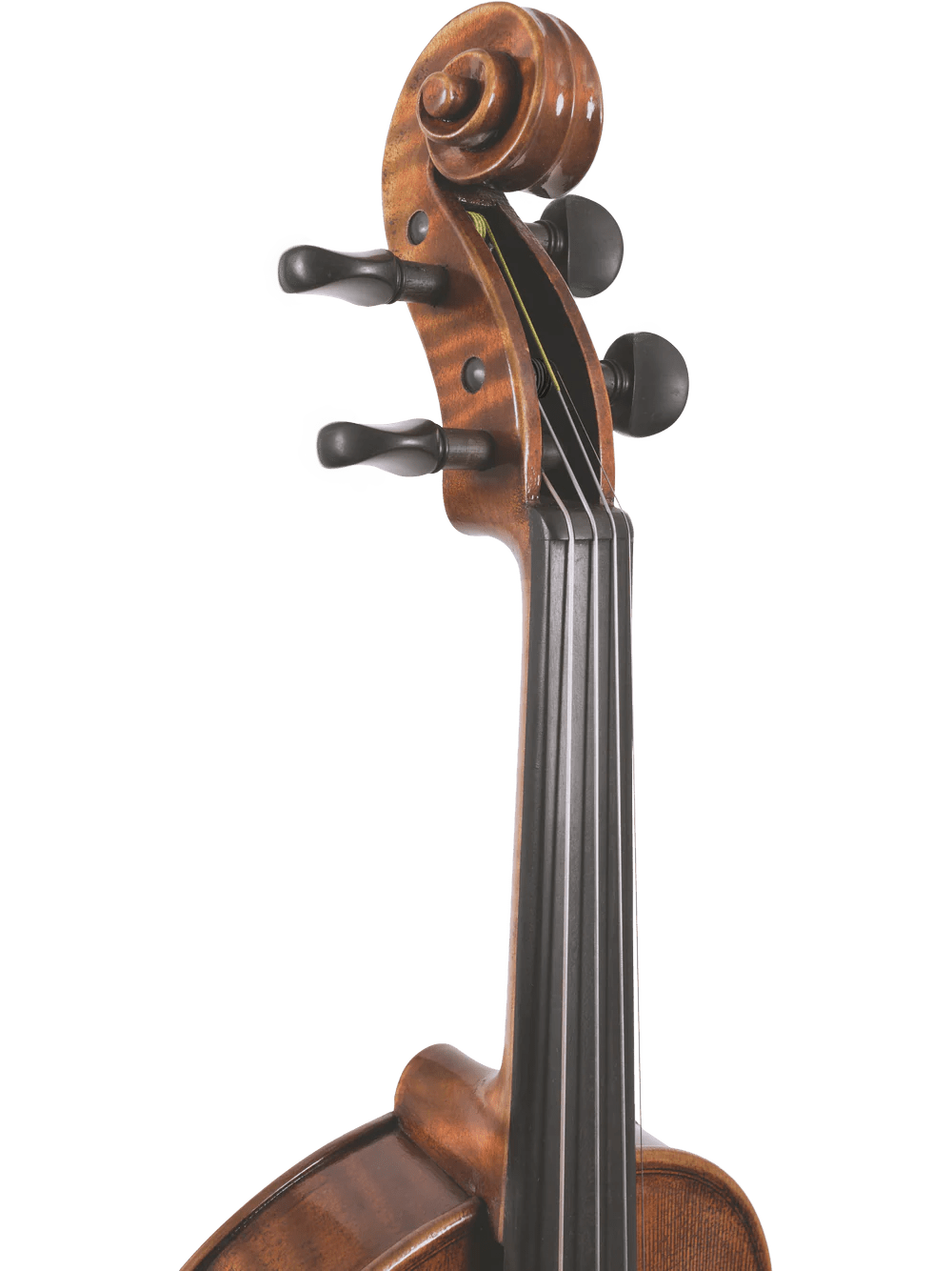 Canzona Pietro Locatelli Premium Advanced Violin Outfit - AAA Band Instrument Rentals
