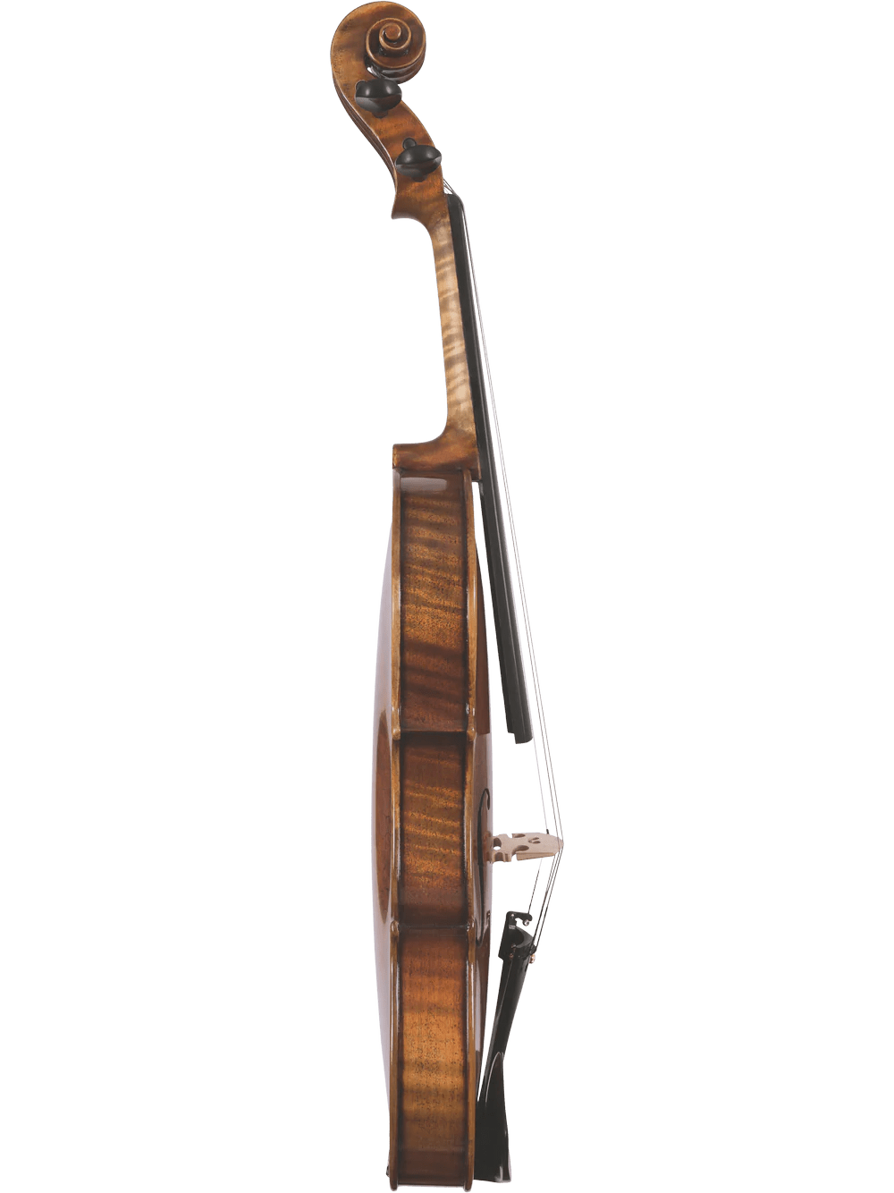 Canzona Pietro Locatelli Premium Advanced Violin Outfit - AAA Band Instrument Rentals