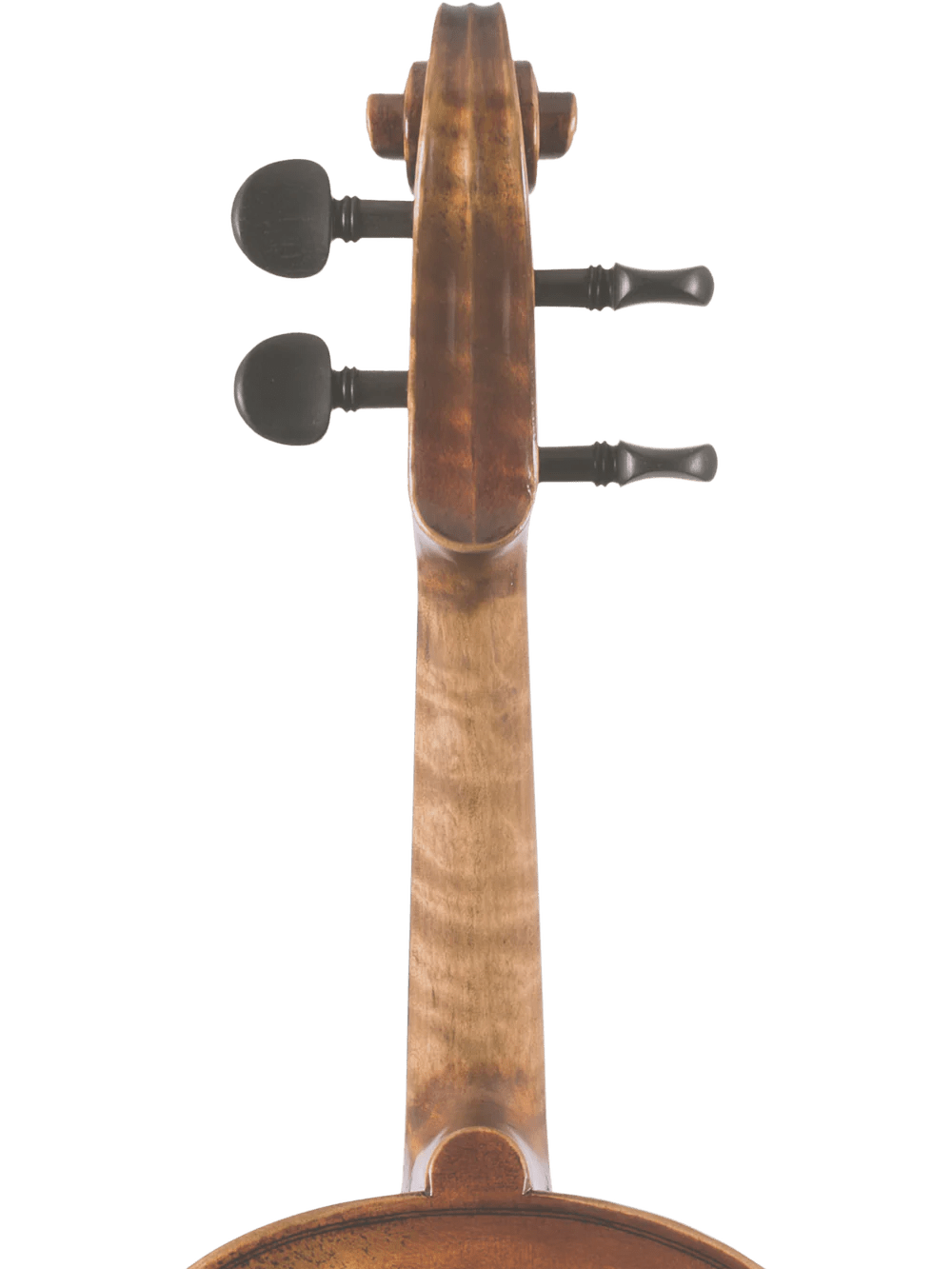 Canzona Pietro Locatelli Premium Advanced Violin Outfit - AAA Band Instrument Rentals