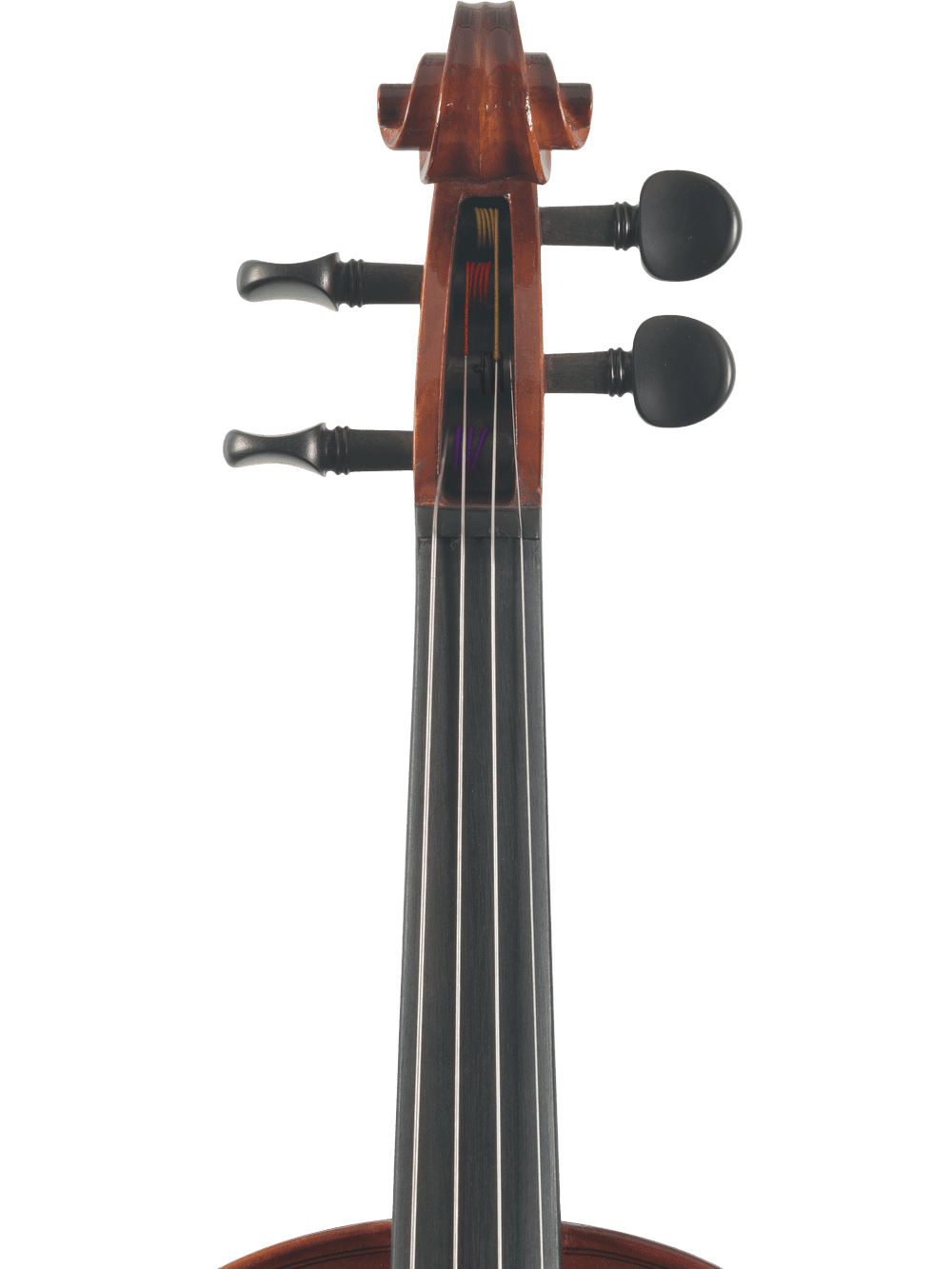 Canzona Sonata 200 Series Student Viola Outfit – Hand Carved Spruce & Maple - AAA Band Instrument Rentals