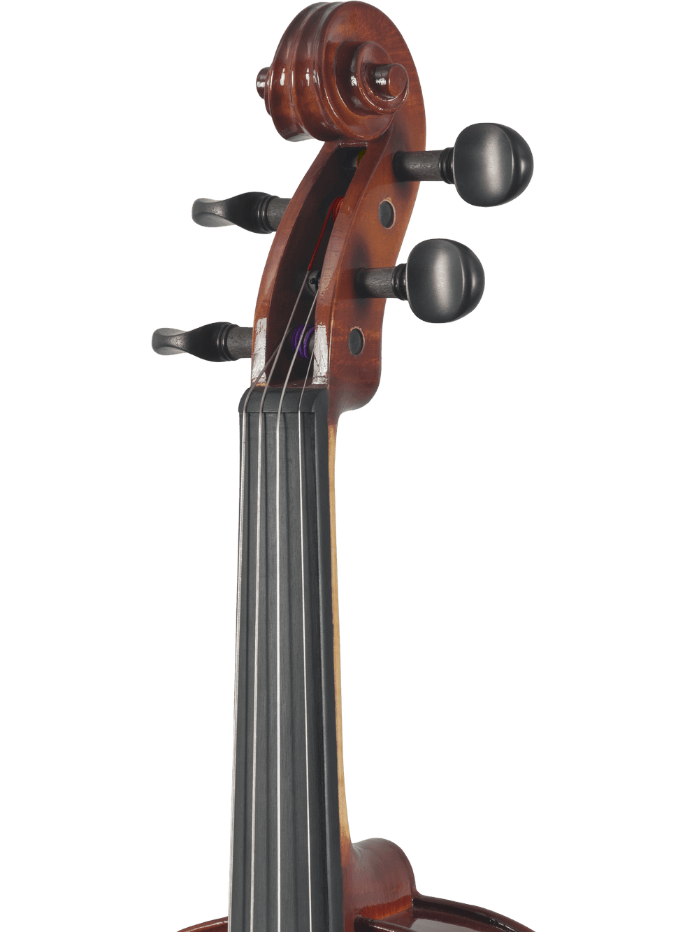 Canzona Sonata 200 Series Student Viola Outfit – Hand Carved Spruce & Maple - AAA Band Instrument Rentals