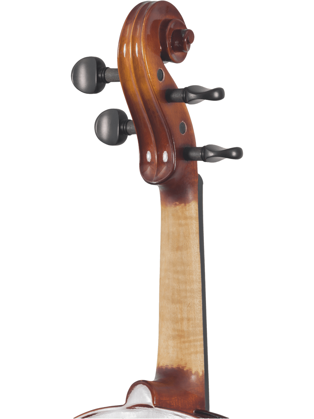 Canzona Sonata 200 Series Student Viola Outfit – Hand Carved Spruce & Maple - AAA Band Instrument Rentals