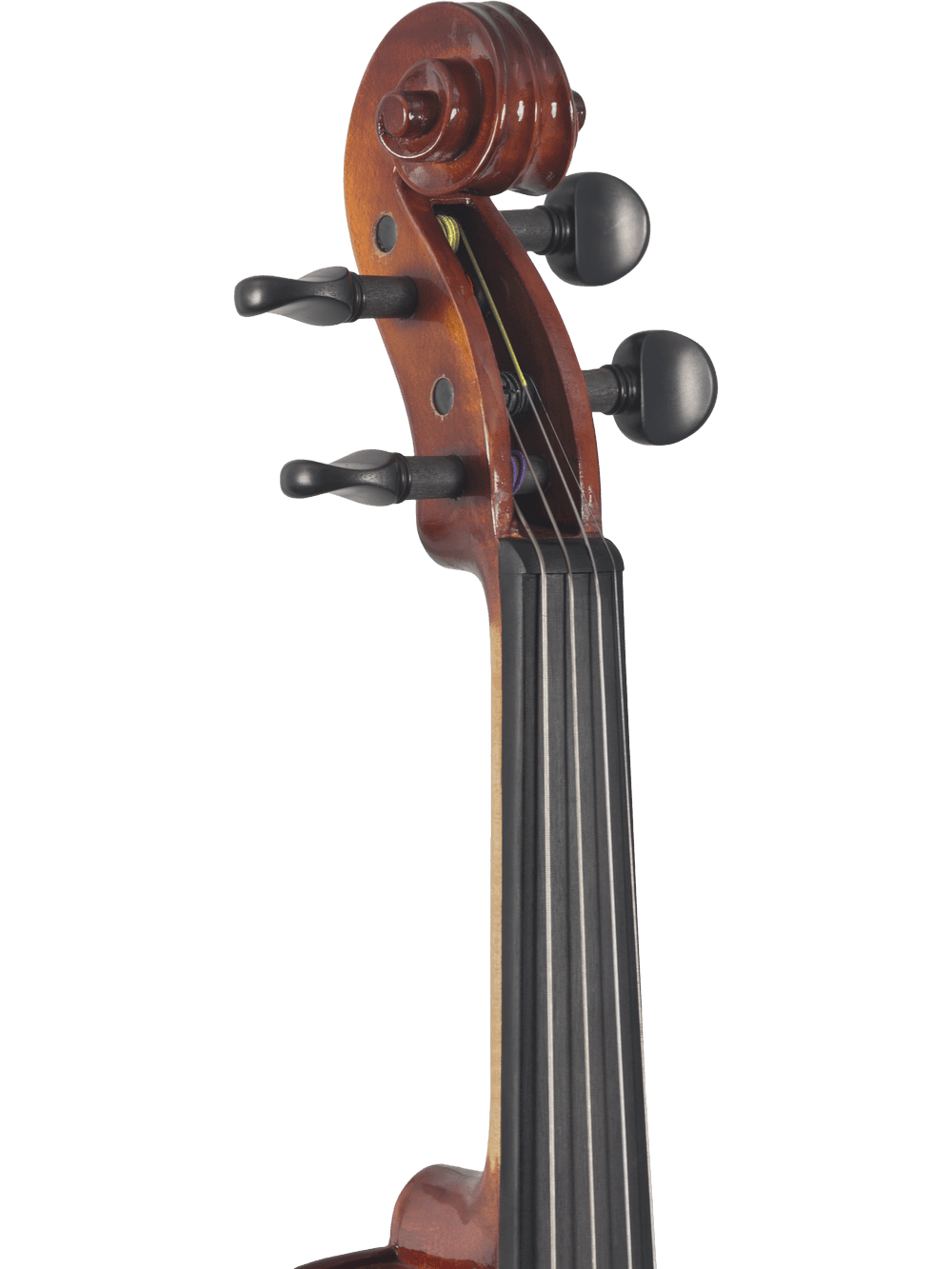 Canzona Sonata 200 Series Student Viola Outfit – Hand Carved Spruce & Maple - AAA Band Instrument Rentals