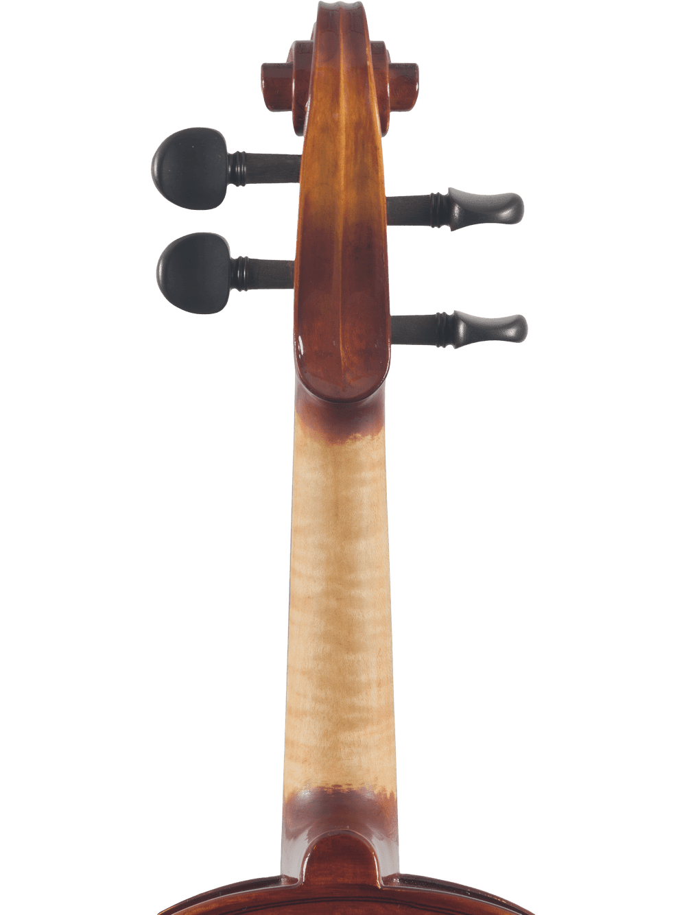 Canzona Sonata 200 Series Student Viola Outfit – Hand Carved Spruce & Maple - AAA Band Instrument Rentals