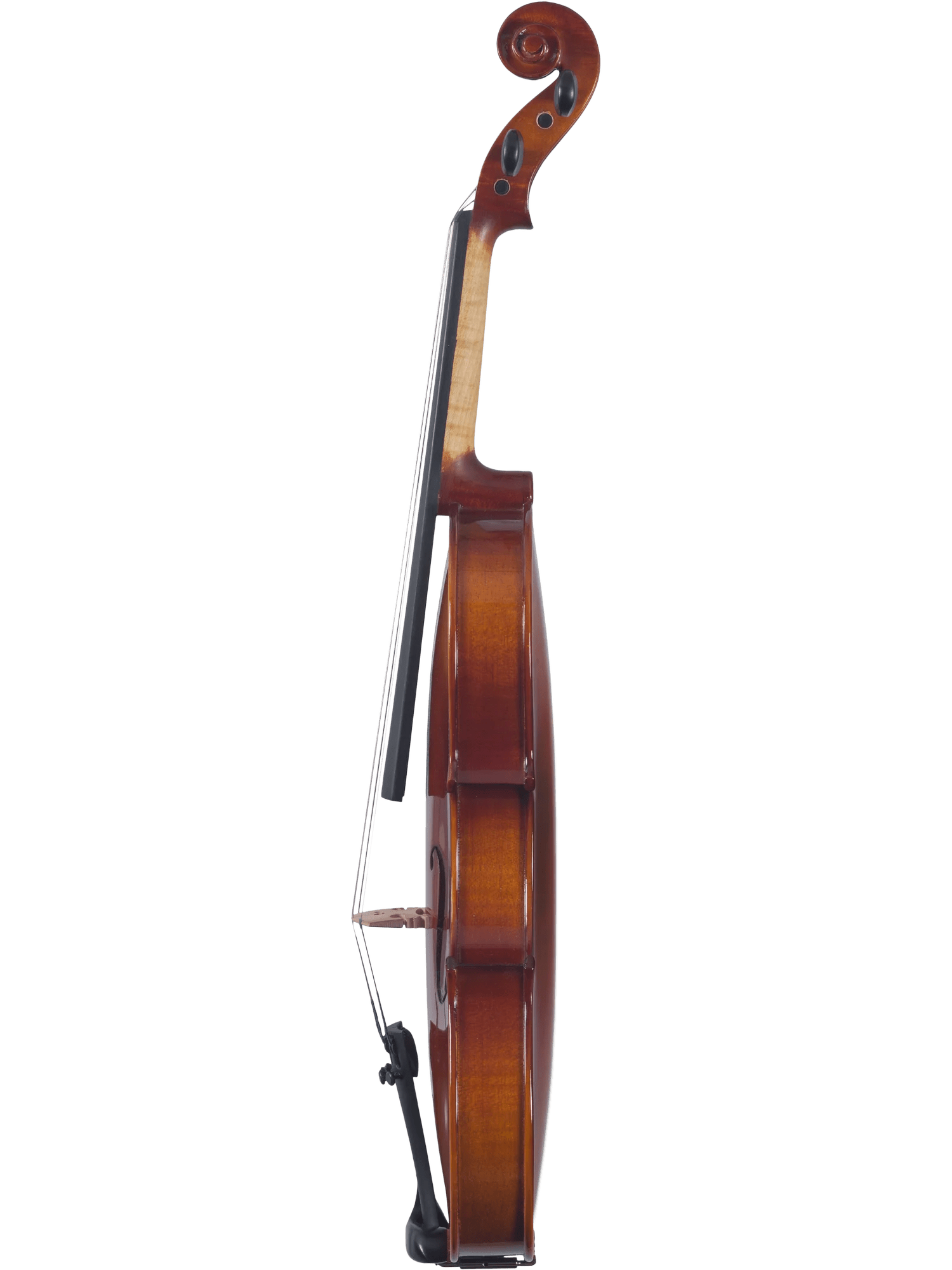 Canzona Sonata Student Violin Outfit - AAA Band Instrument Rentals