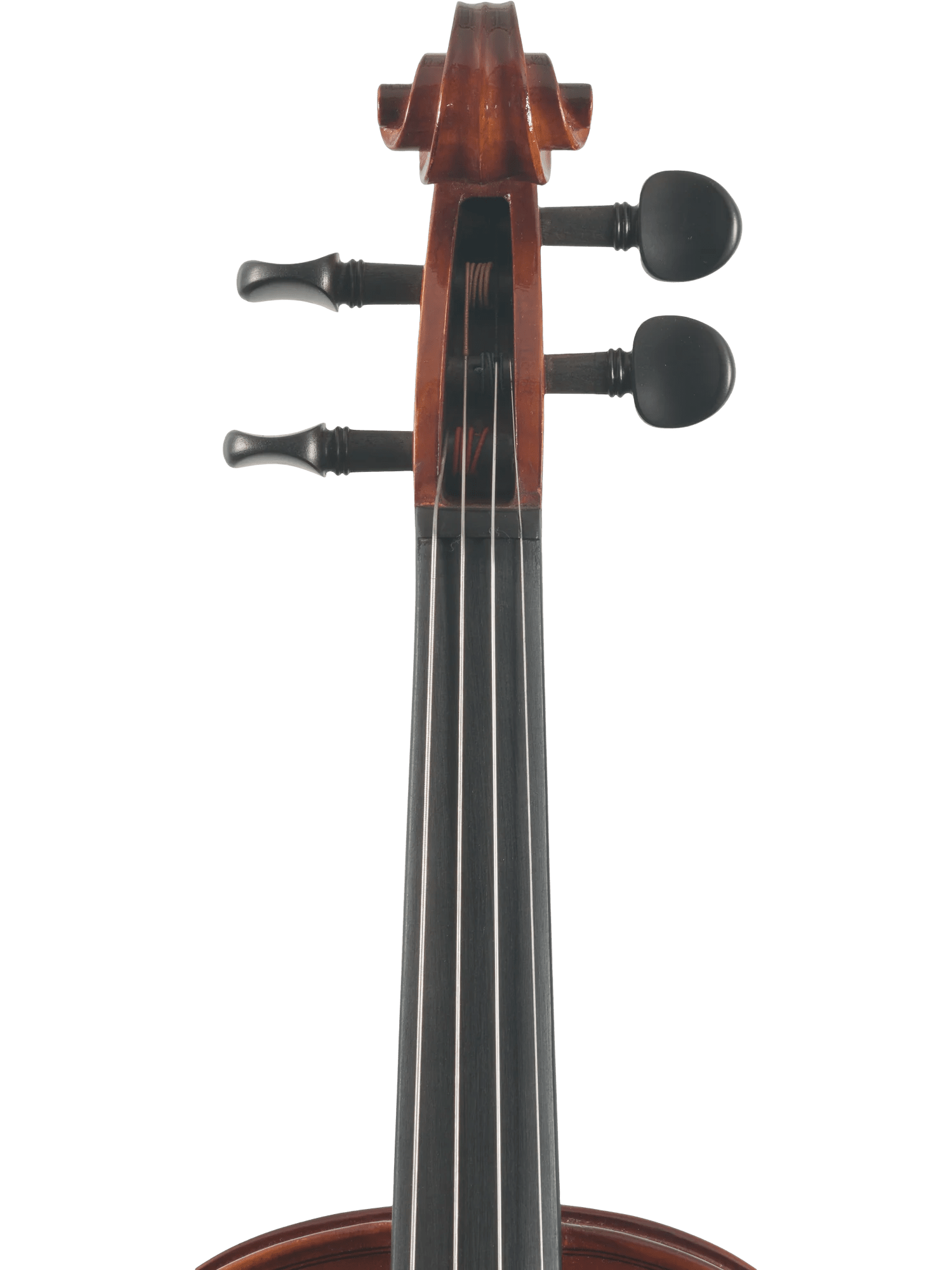 Canzona Sonata Student Violin Outfit - AAA Band Instrument Rentals
