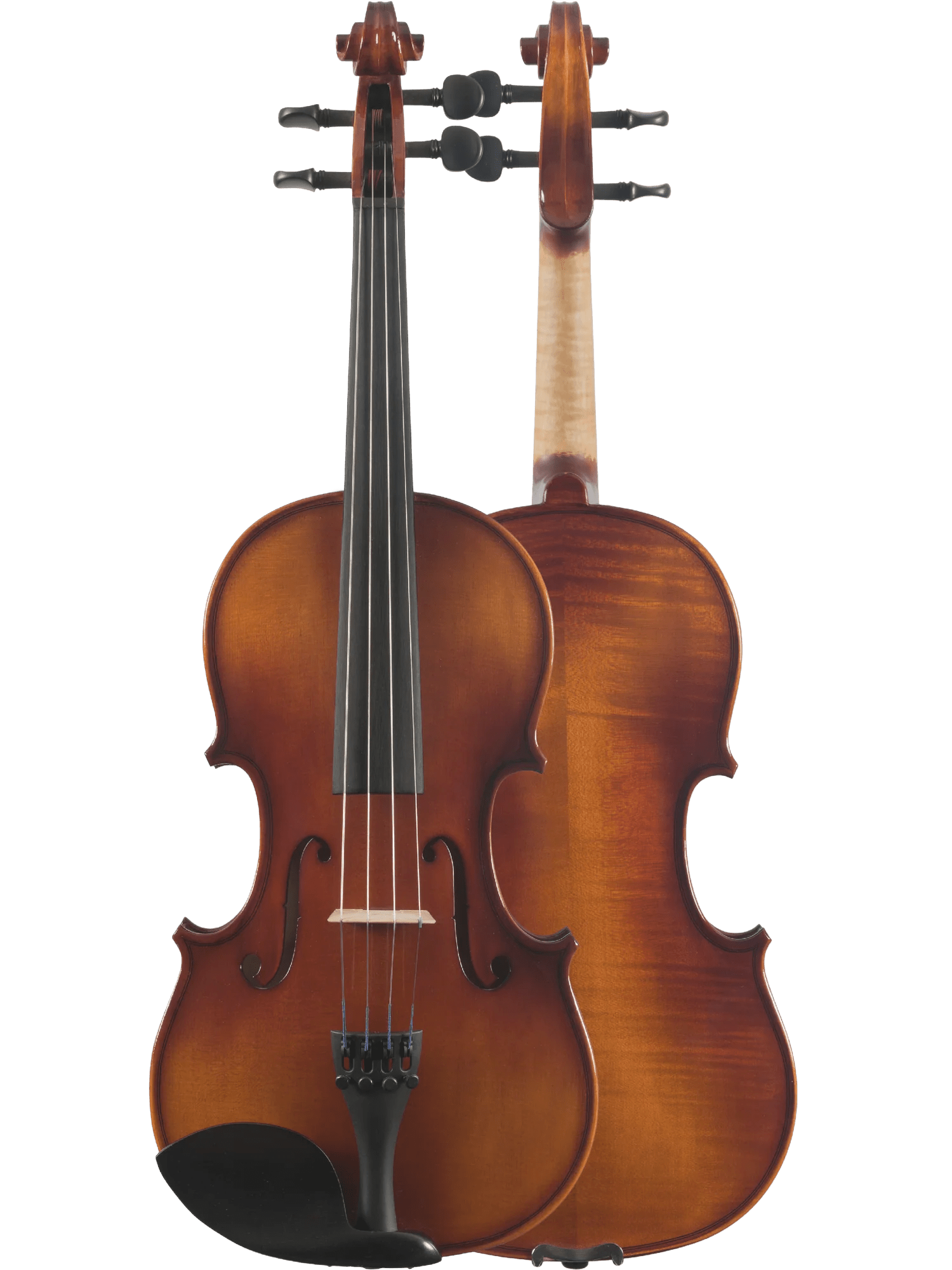 Canzona Sonata Student Violin Outfit - AAA Band Instrument Rentals