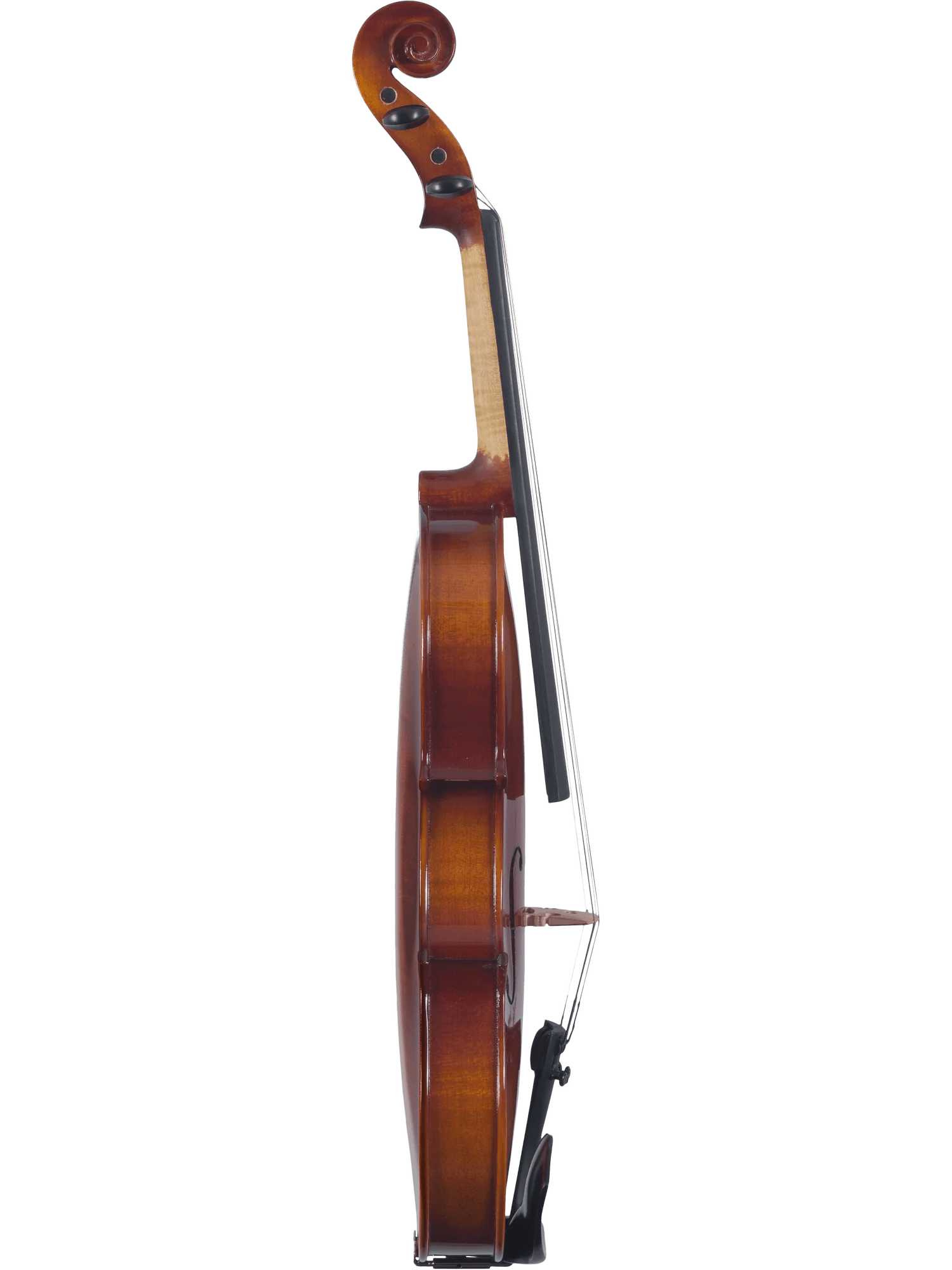 Canzona Sonata Student Violin Outfit - AAA Band Instrument Rentals