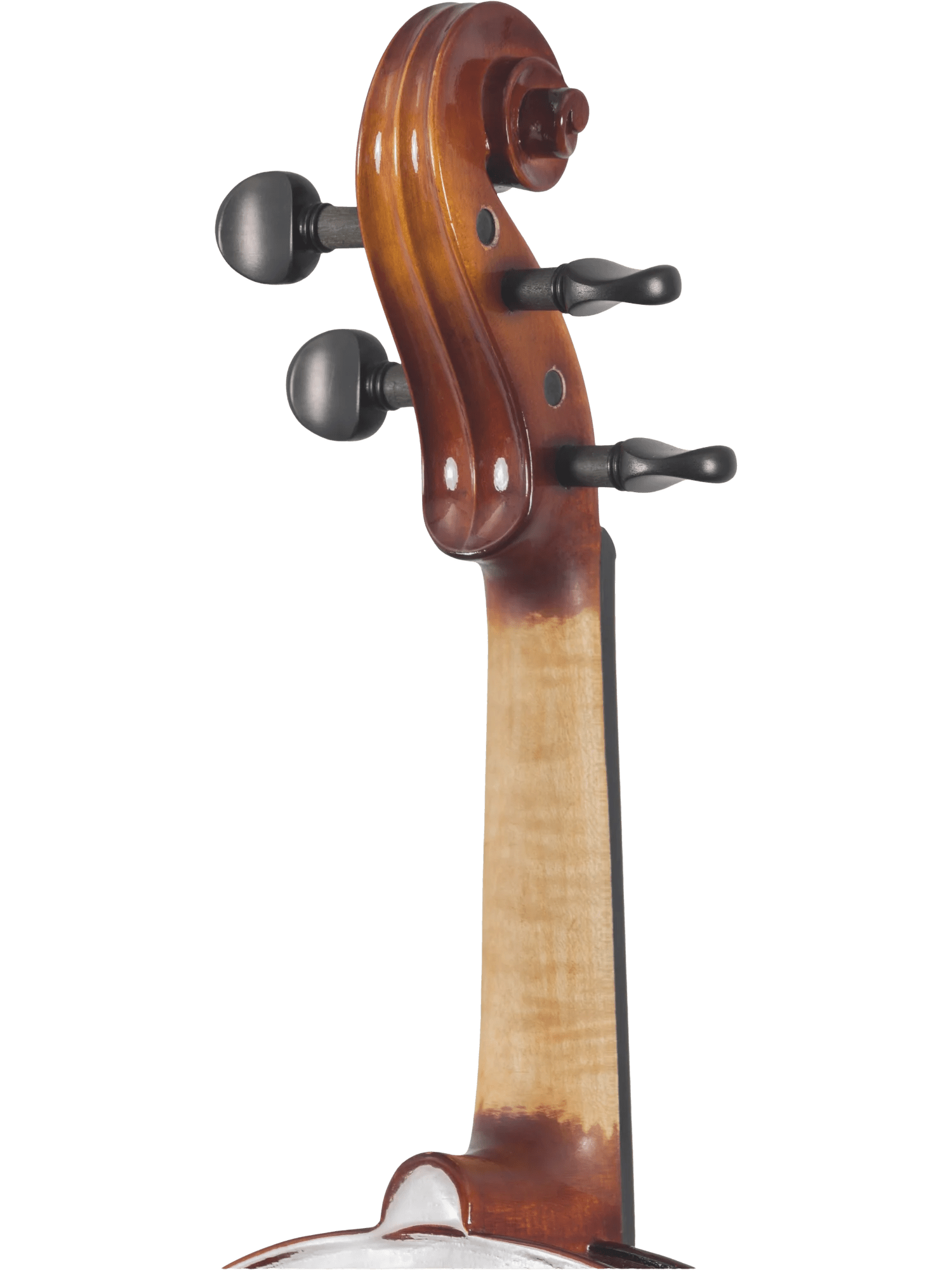 Canzona Sonata Student Violin Outfit - AAA Band Instrument Rentals