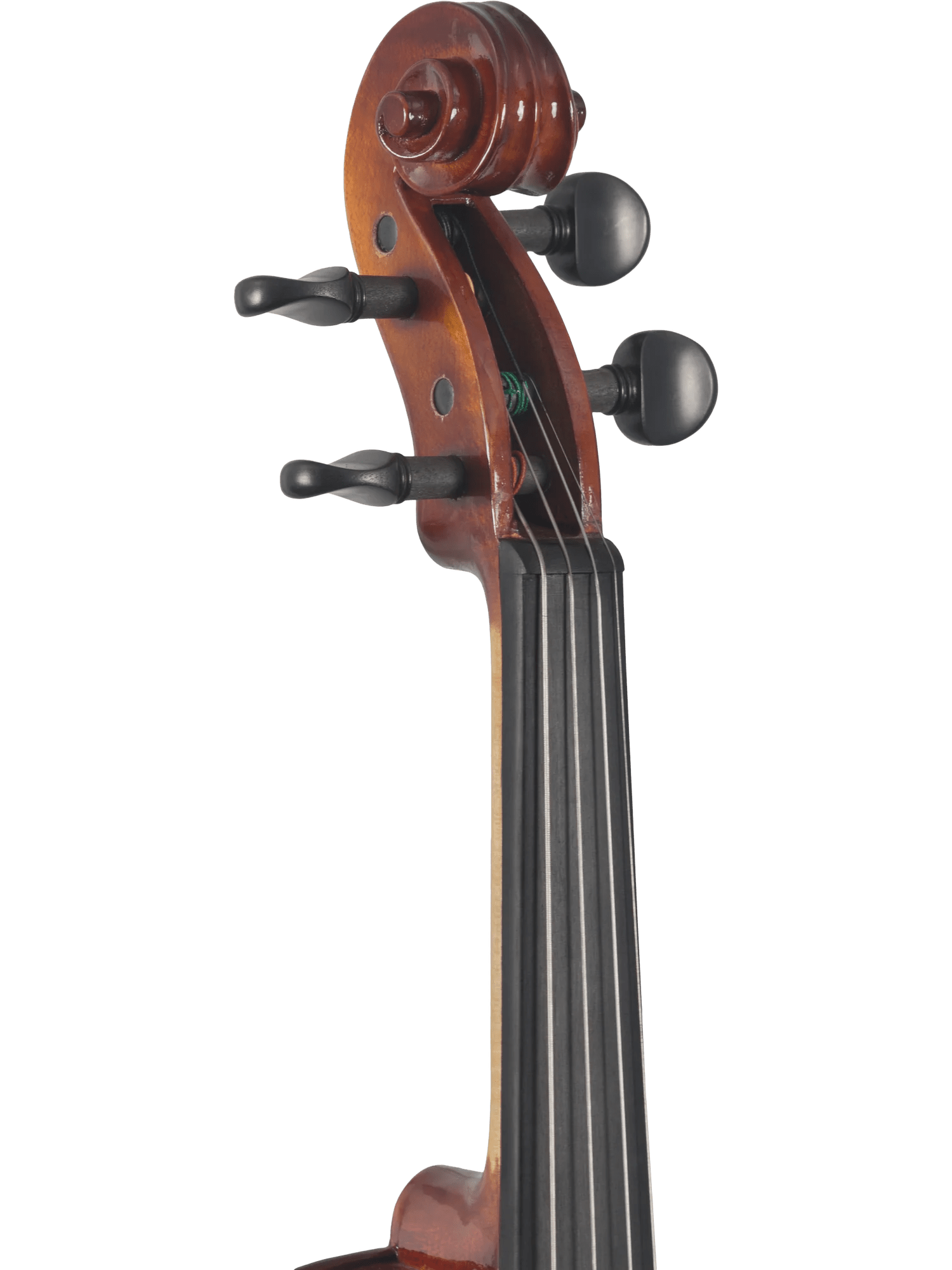 Canzona Sonata Student Violin Outfit - AAA Band Instrument Rentals