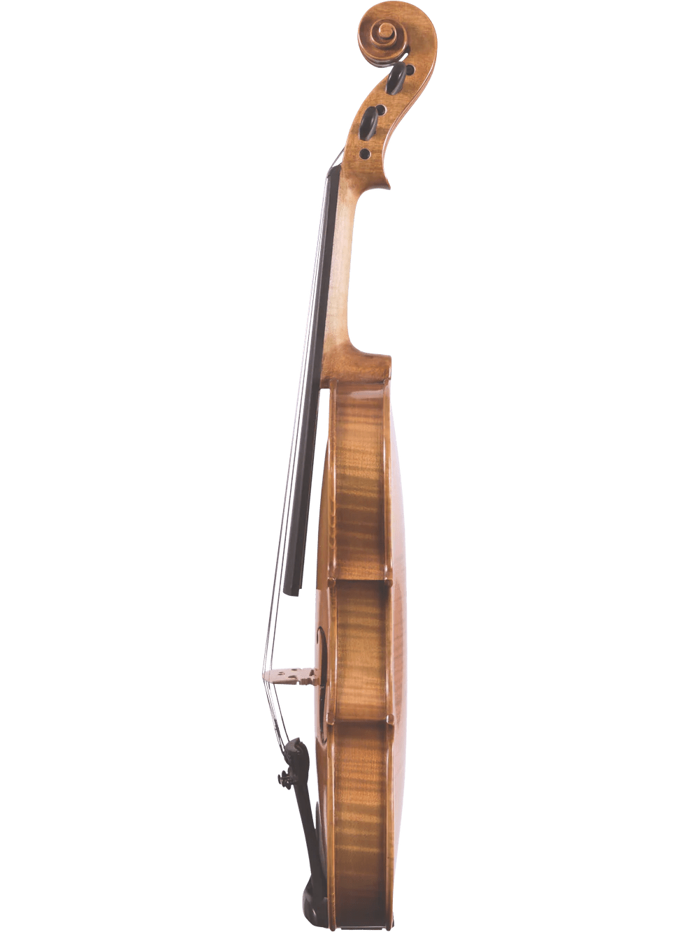 Canzona Violina Cinque 5-String Violin - AAA Band Instrument Rentals