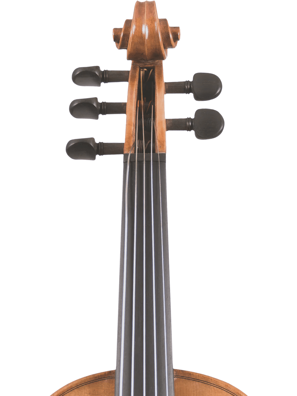 Canzona Violina Cinque 5-String Violin - AAA Band Instrument Rentals