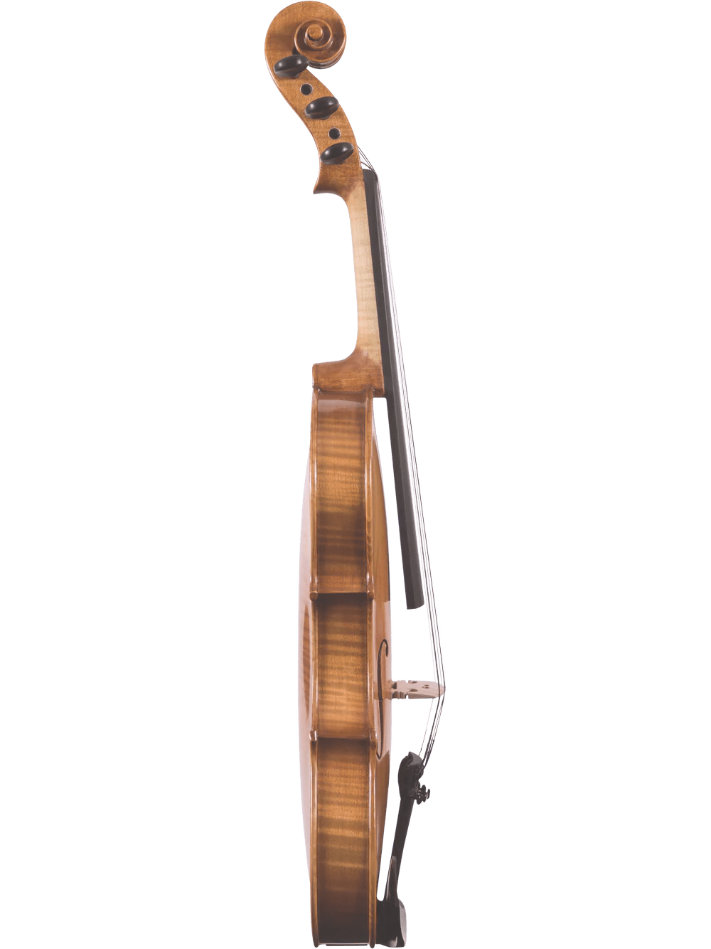 Canzona Violina Cinque 5-String Violin - AAA Band Instrument Rentals