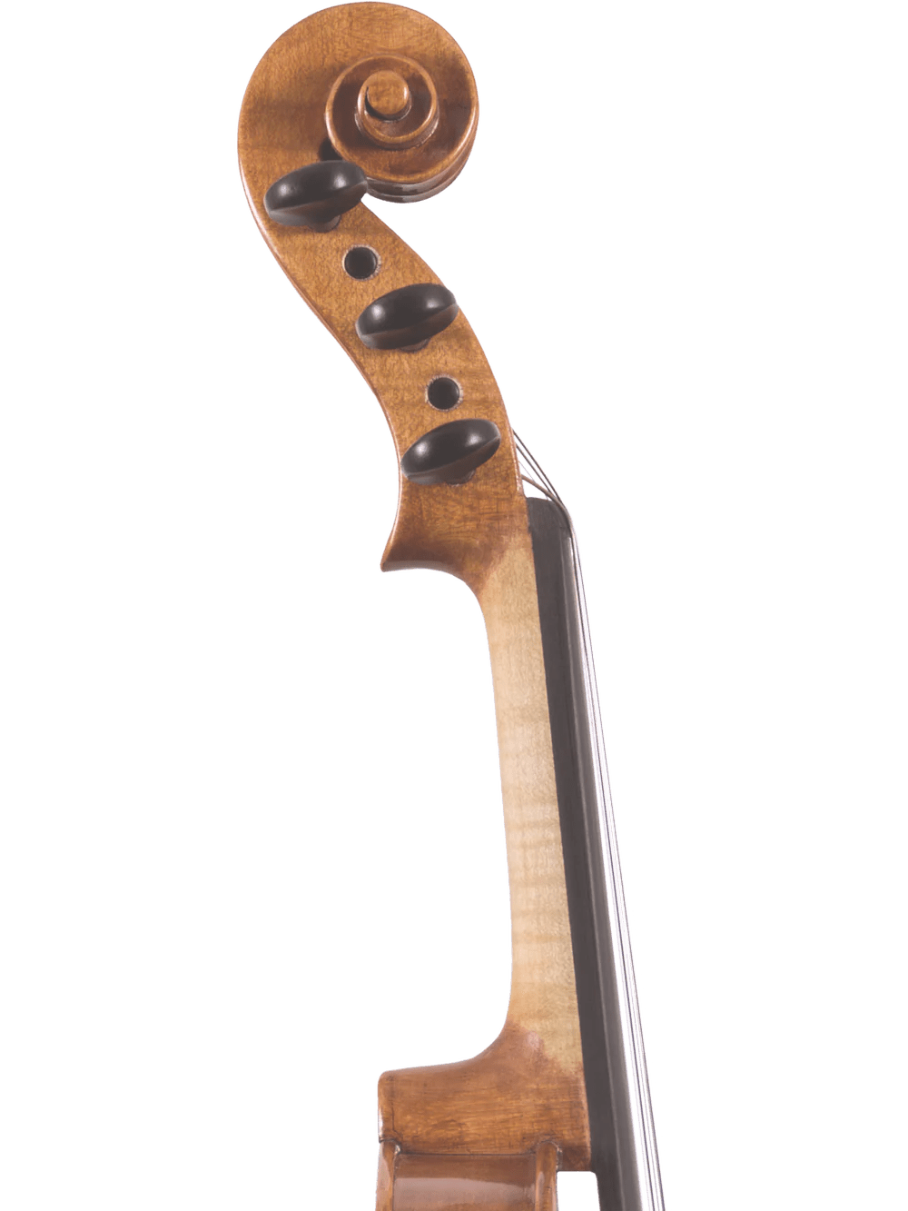 Canzona Violina Cinque 5-String Violin - AAA Band Instrument Rentals