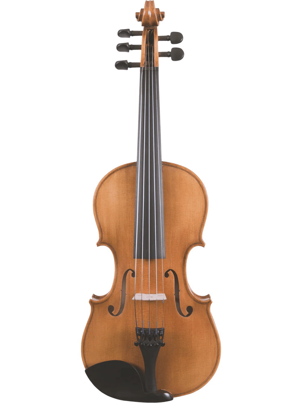 Canzona Violina Cinque 5-String Violin - AAA Band Instrument Rentals
