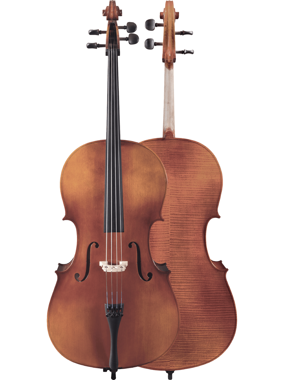 Cello Outfit – Canzona Allegro 100 - AAA Band Instrument Rentals