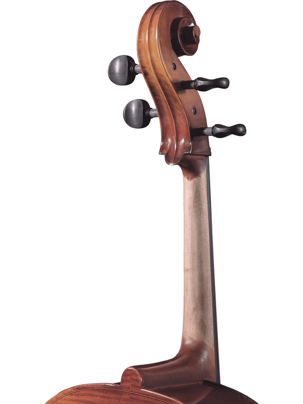 Cello Outfit – Canzona Allegro 100 - AAA Band Instrument Rentals