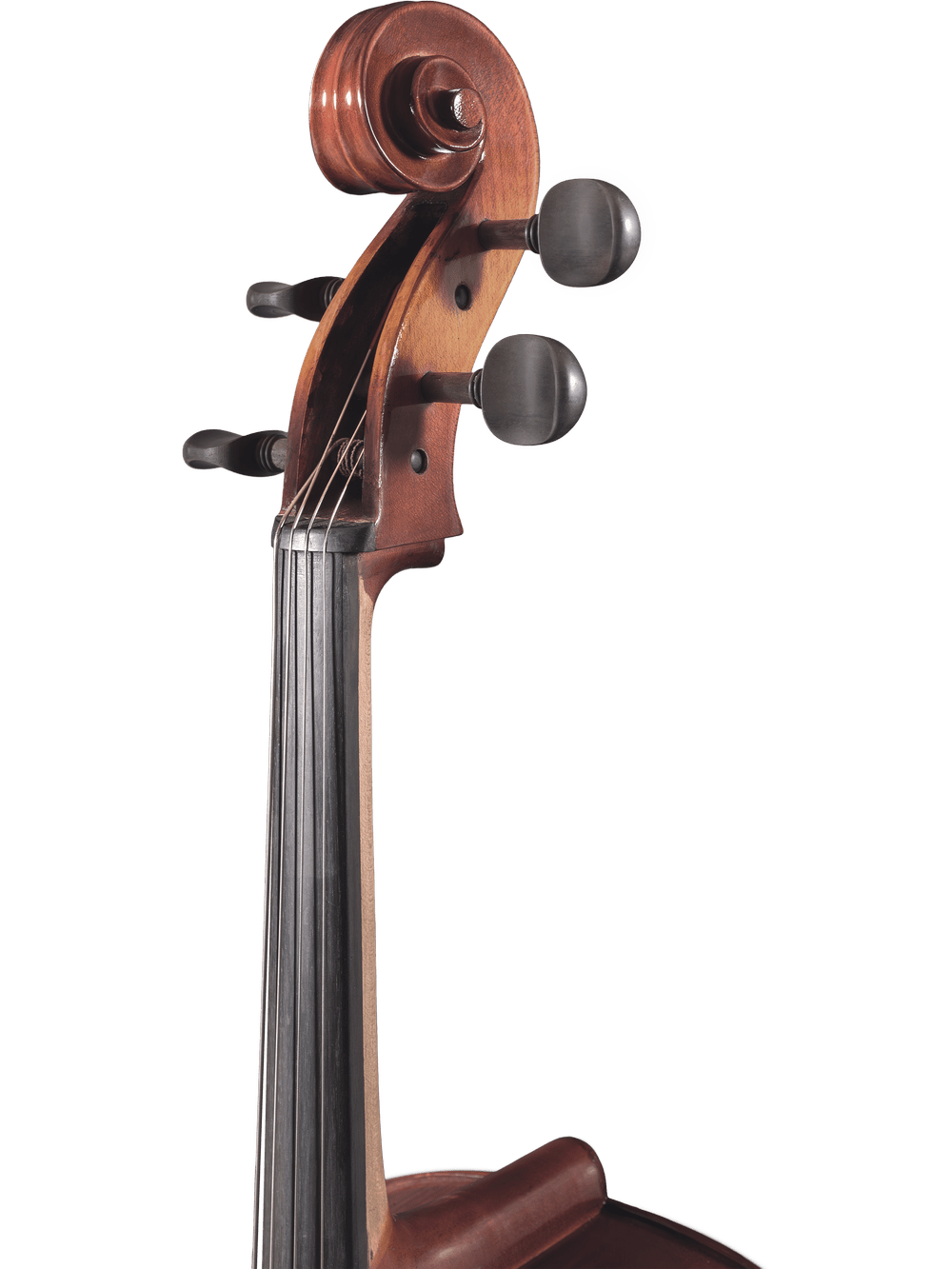 Cello Outfit – Canzona Allegro 100 - AAA Band Instrument Rentals