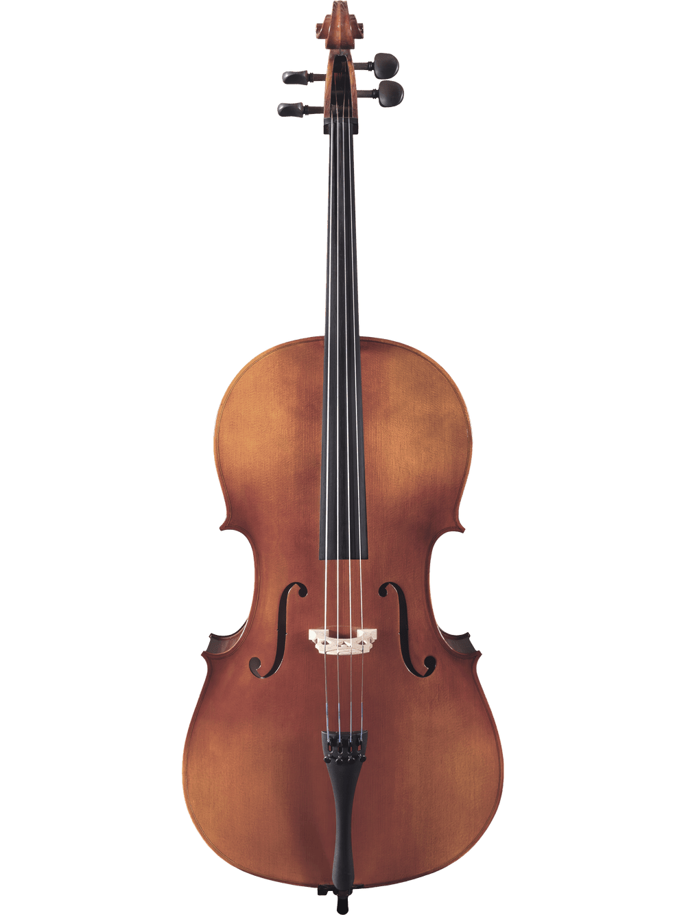Cello Outfit – Canzona Allegro 100 - AAA Band Instrument Rentals