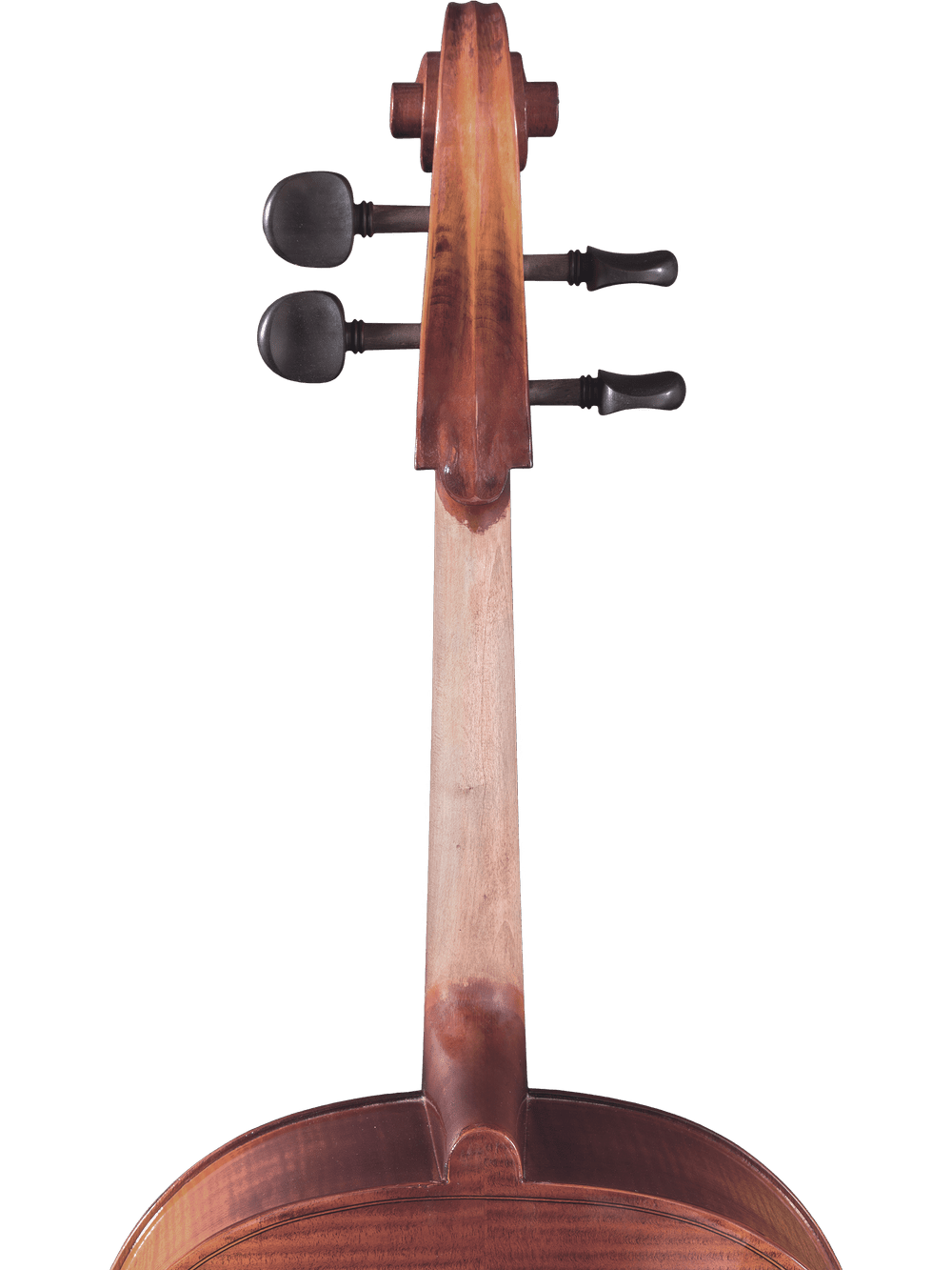 Cello Outfit – Canzona Allegro 100 - AAA Band Instrument Rentals