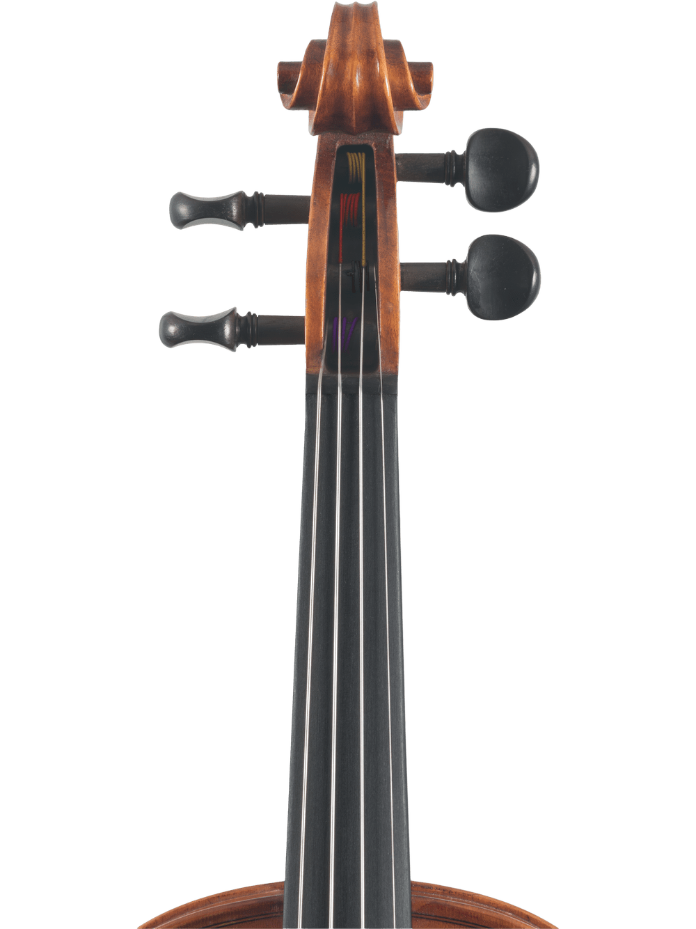Intermediate Viola Outfit – Canzona Caprice 300 Series (Hand-Carved Spruce & Maple) - AAA Band Instrument Rentals