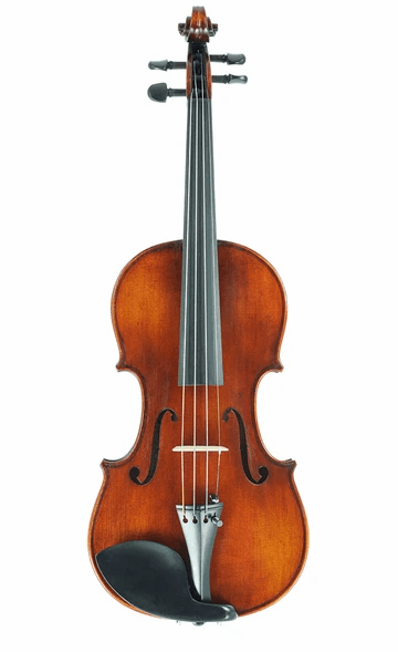 Intermediate Violin Outfit – Andreas Eastman VL305 - AAA Band Instrument Rentals