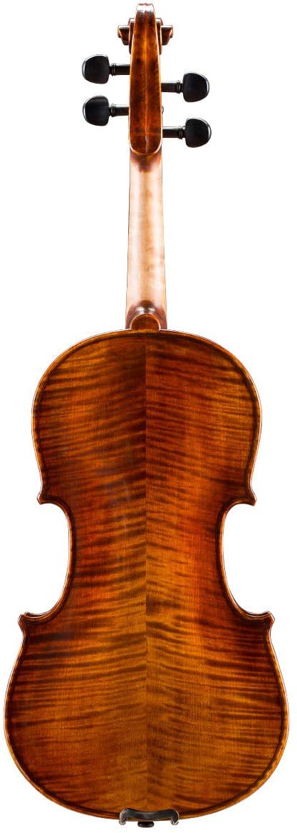 Intermediate Violin Outfit – Andreas Eastman VL305 - AAA Band Instrument Rentals