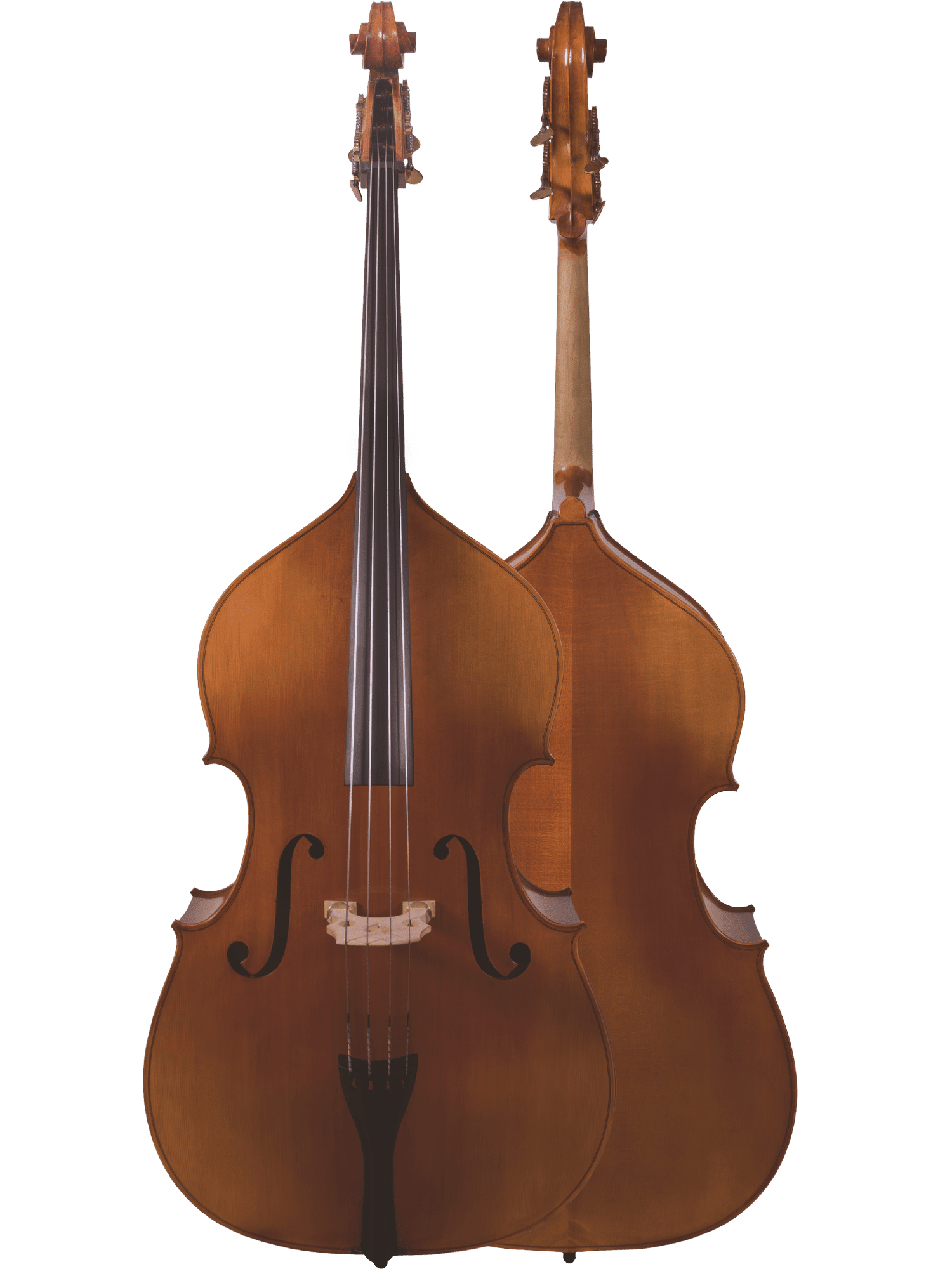 Student Bass – Canzona 300 Caprice - AAA Band Instrument Rentals